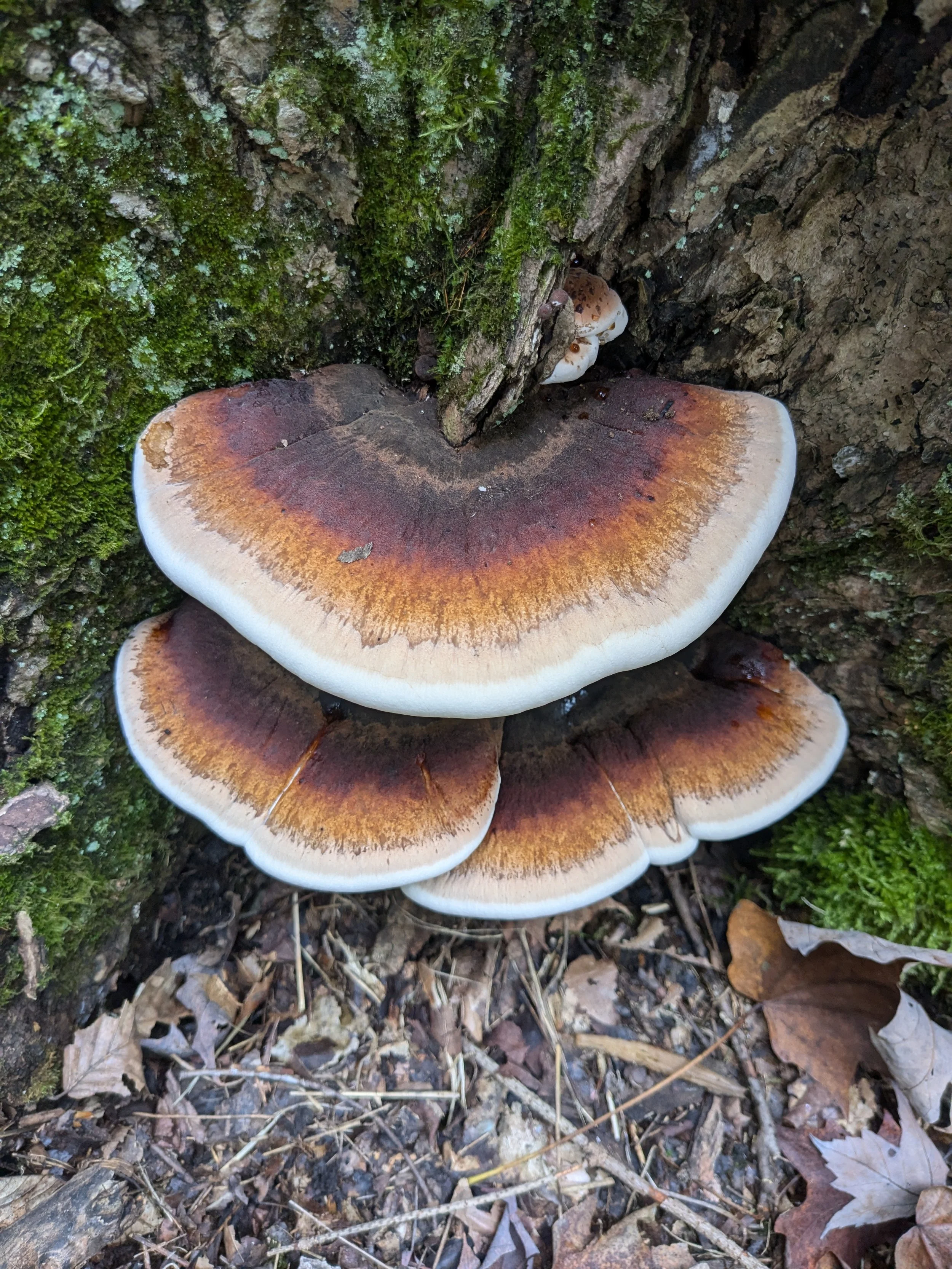 Training & Skill Building