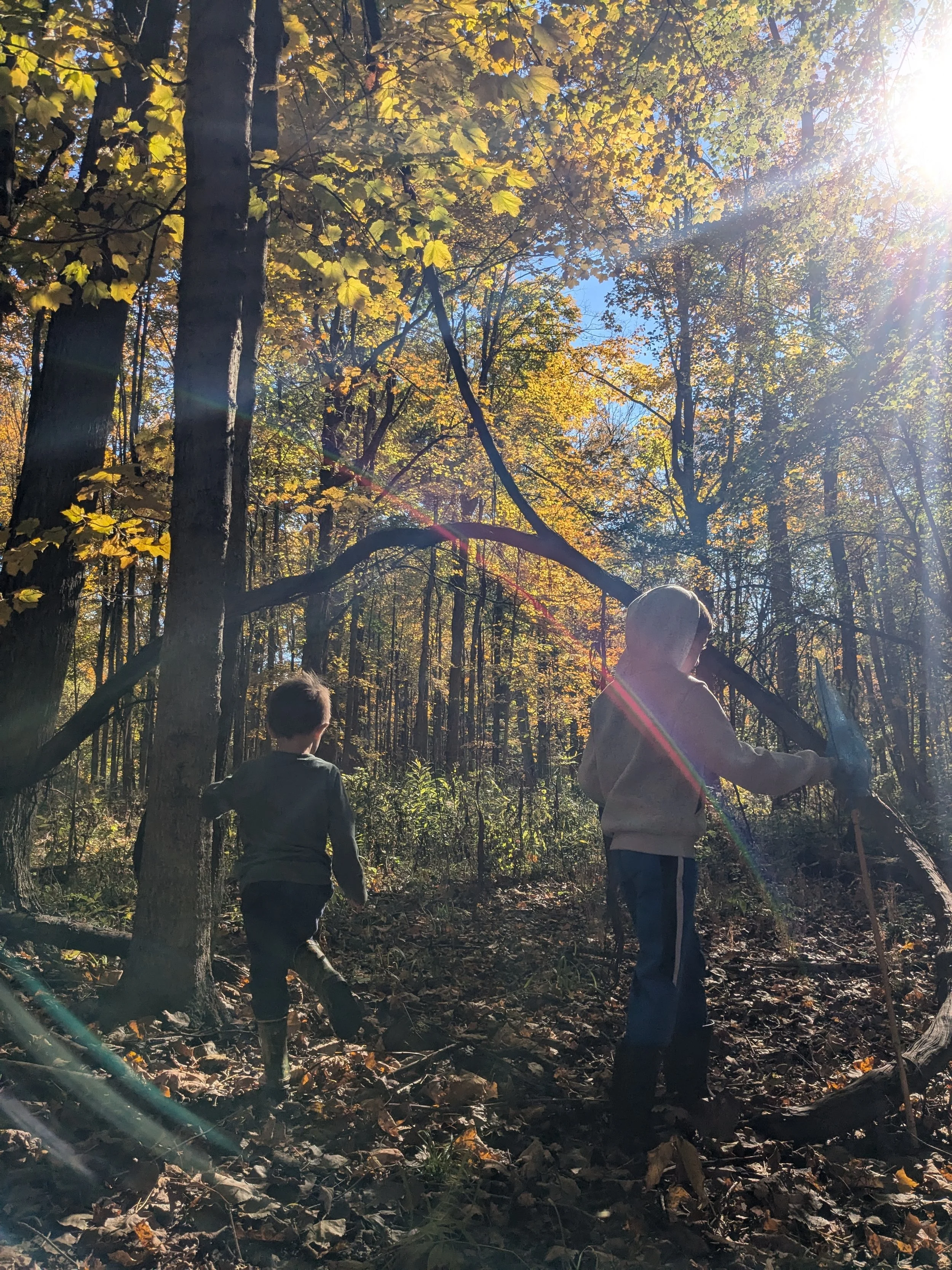 October Youth Forest Collective