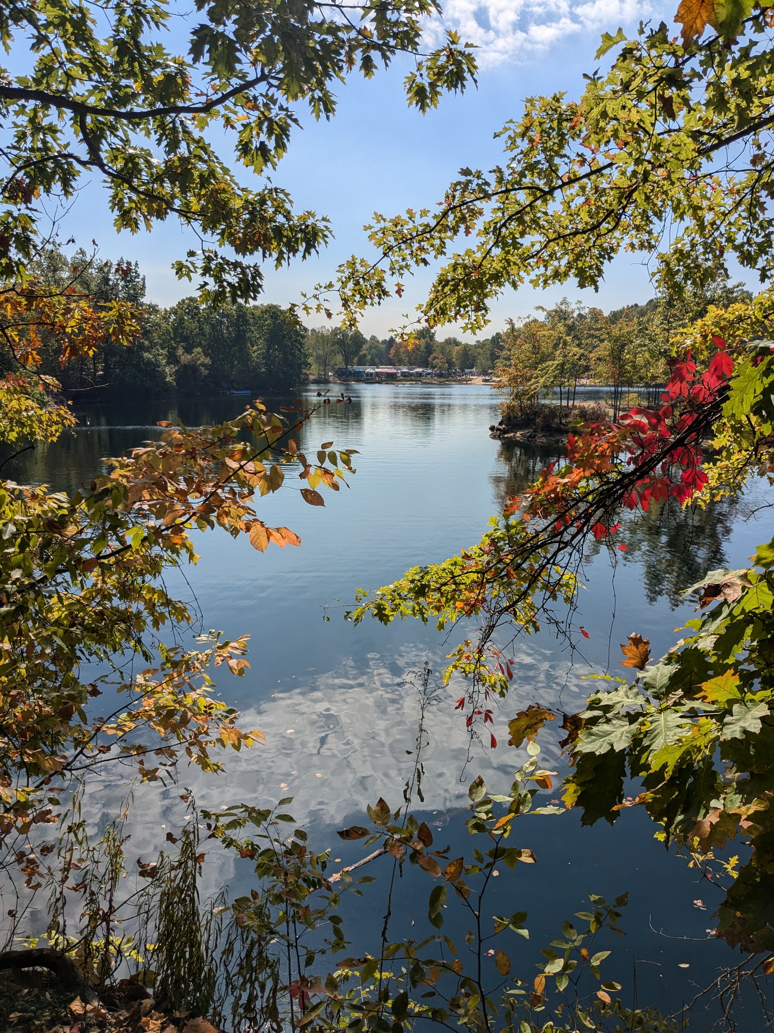 September Adult Forest Collective