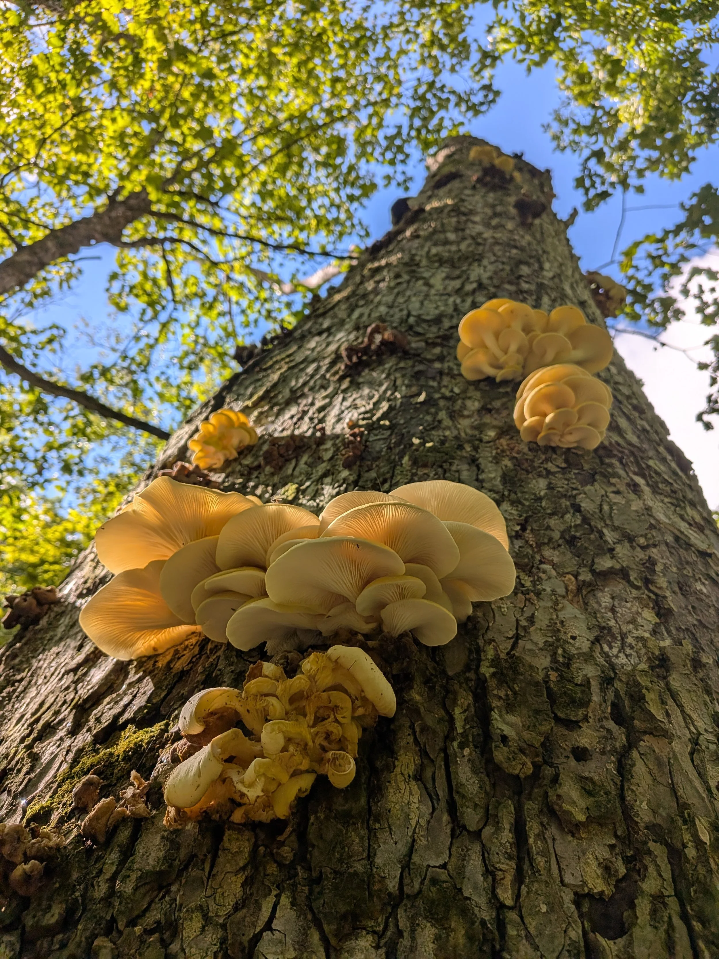 Calendar of Community Events