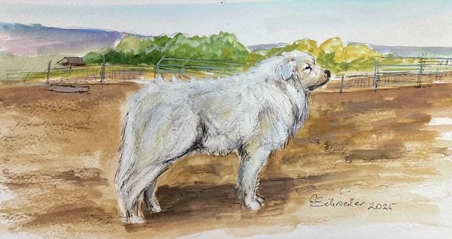 I Swear that Dog could Talk