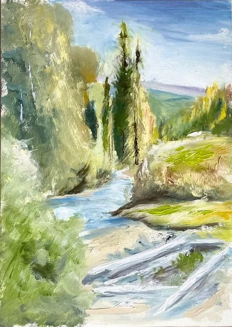 Autumn afternoon, Santa Barbara Canyon, NM