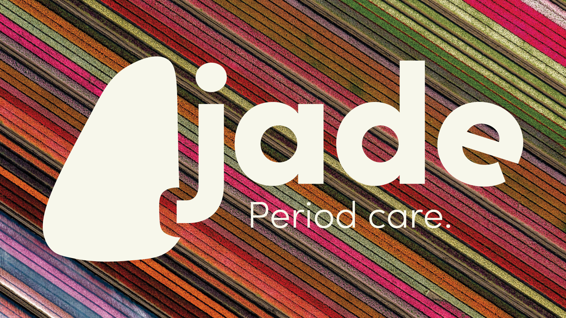 jade presentation high.png