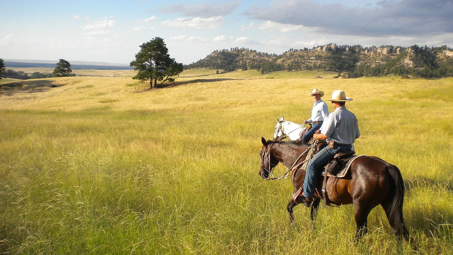 Two men riding horses through a grassy field on a sunny day with trees and hills in the background.