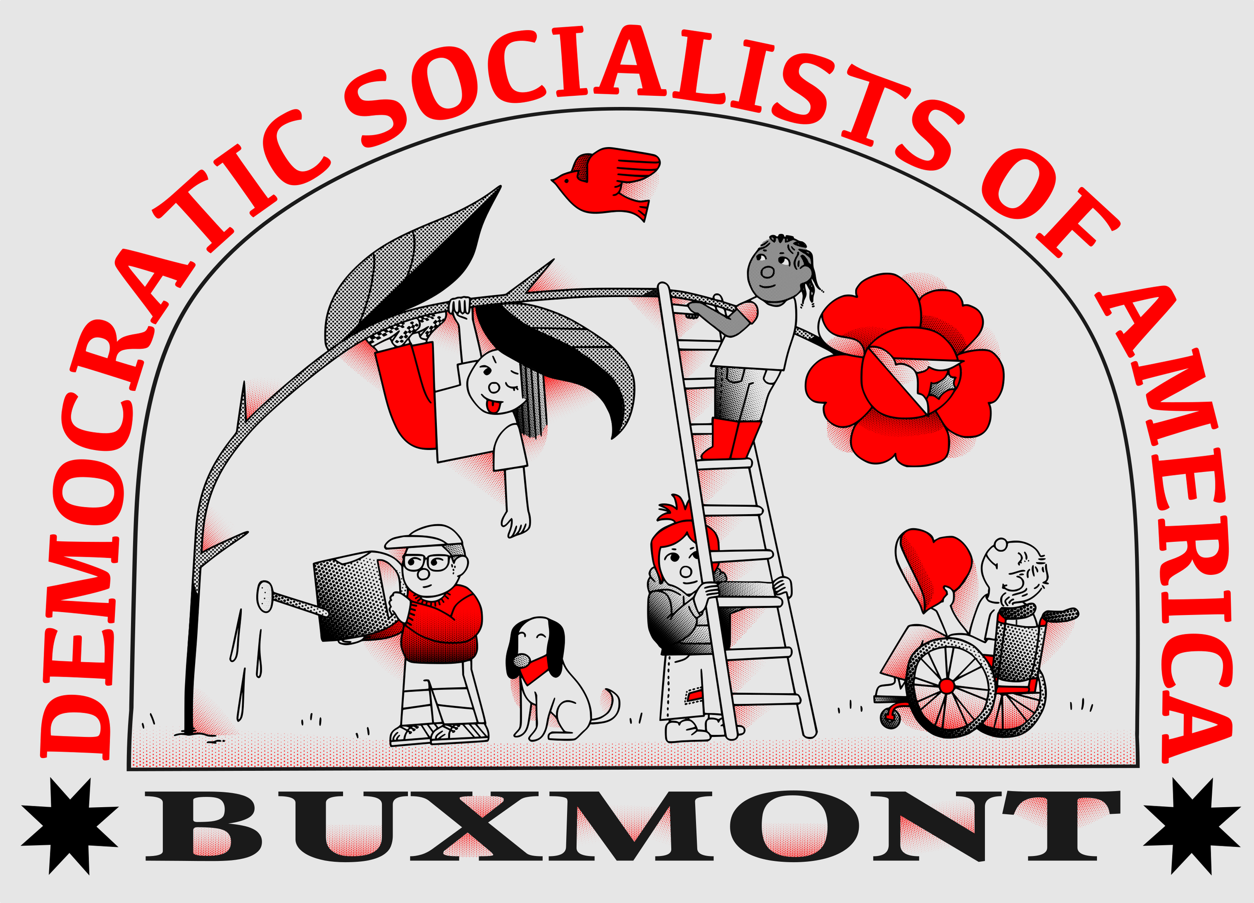 Member Discussion &amp; Plug-In Meeting