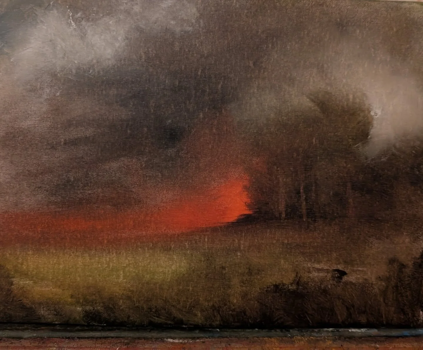 20x16in Oil on Canvas Panel