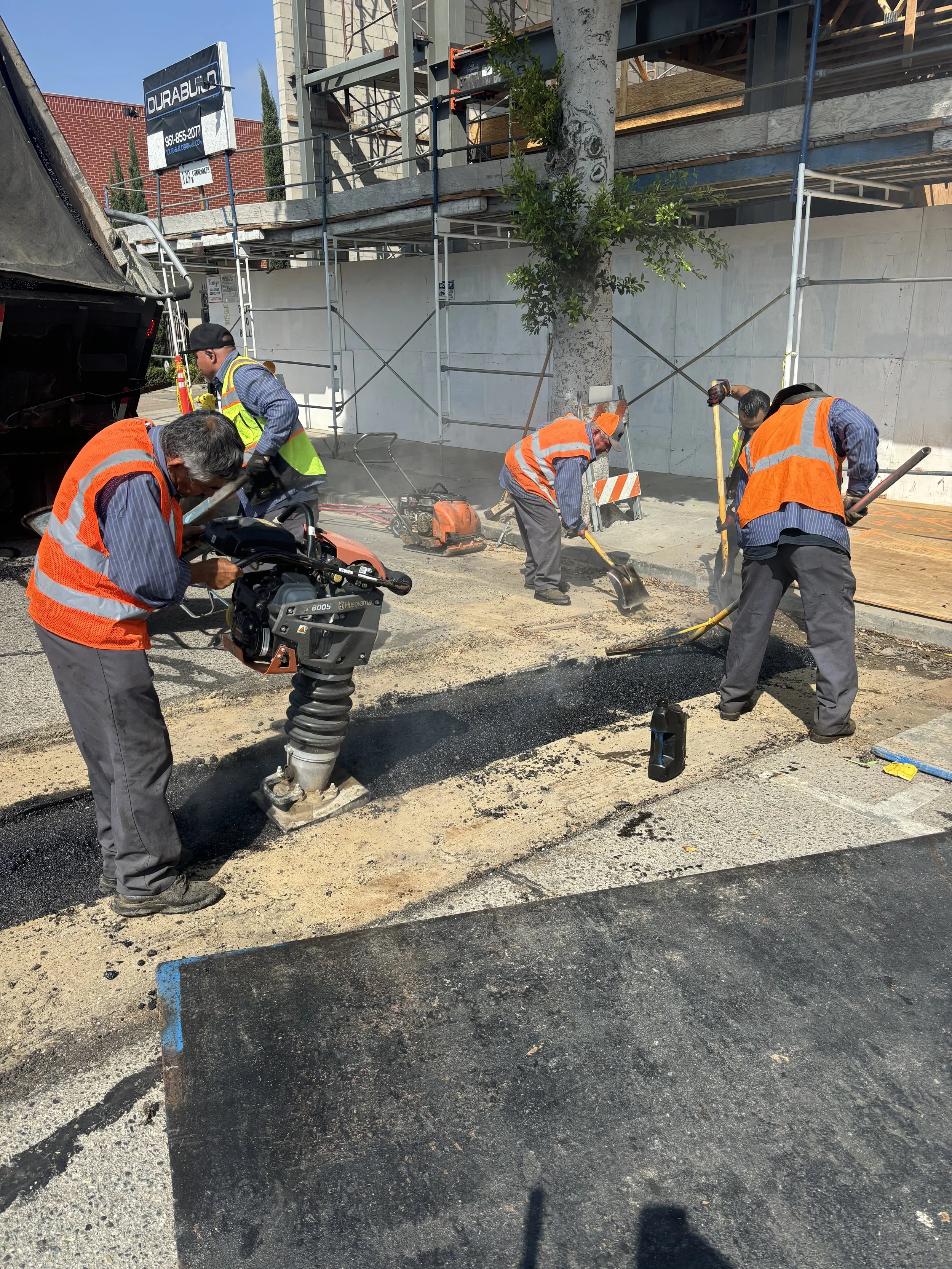 Workers in orange safety vests and gray pants laying hot asphalt on a city street, with some using shovels and a steamroller nearby, under an urban construction site with scaffolding and a tree.