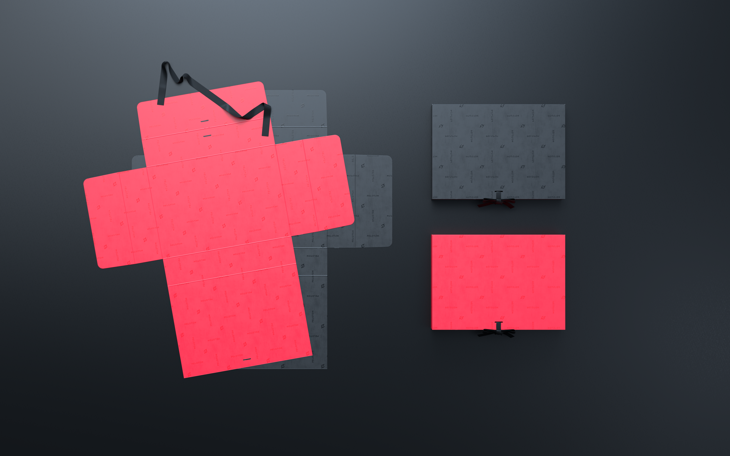 Peloton NEW Design-Folder.1327.png