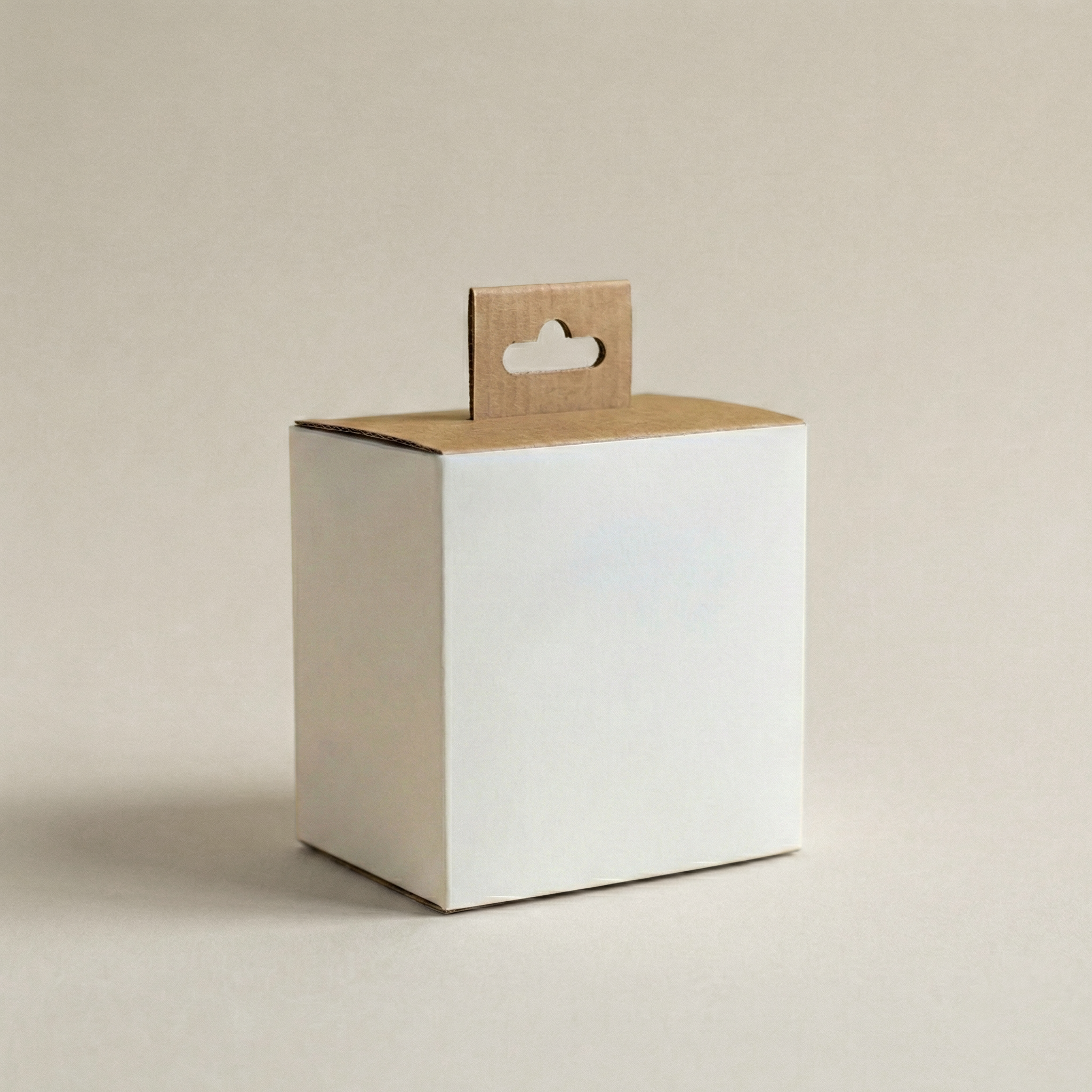 Bose-Earbuds Kraft Box-1.png