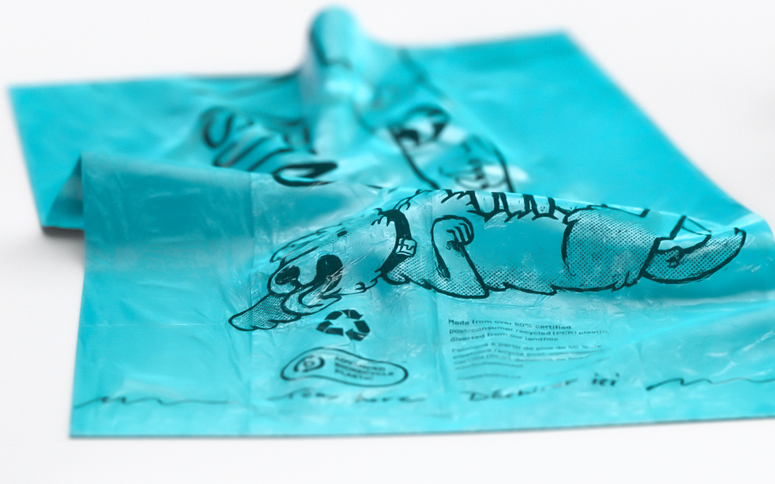 MessyMutts-CaseStudy-1- v3.24.png