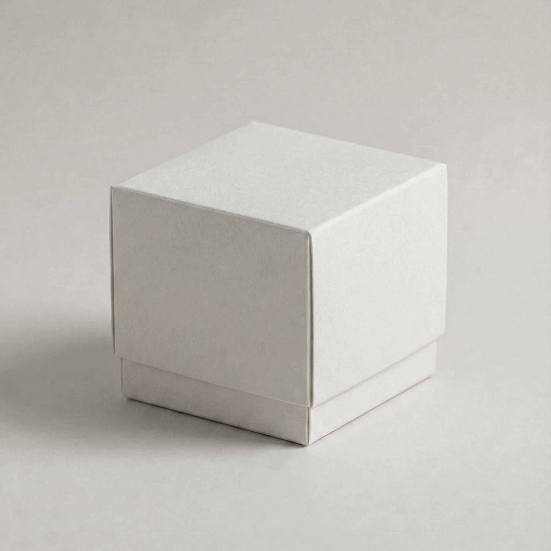 Bose-Earbuds Kraft Box-4.png