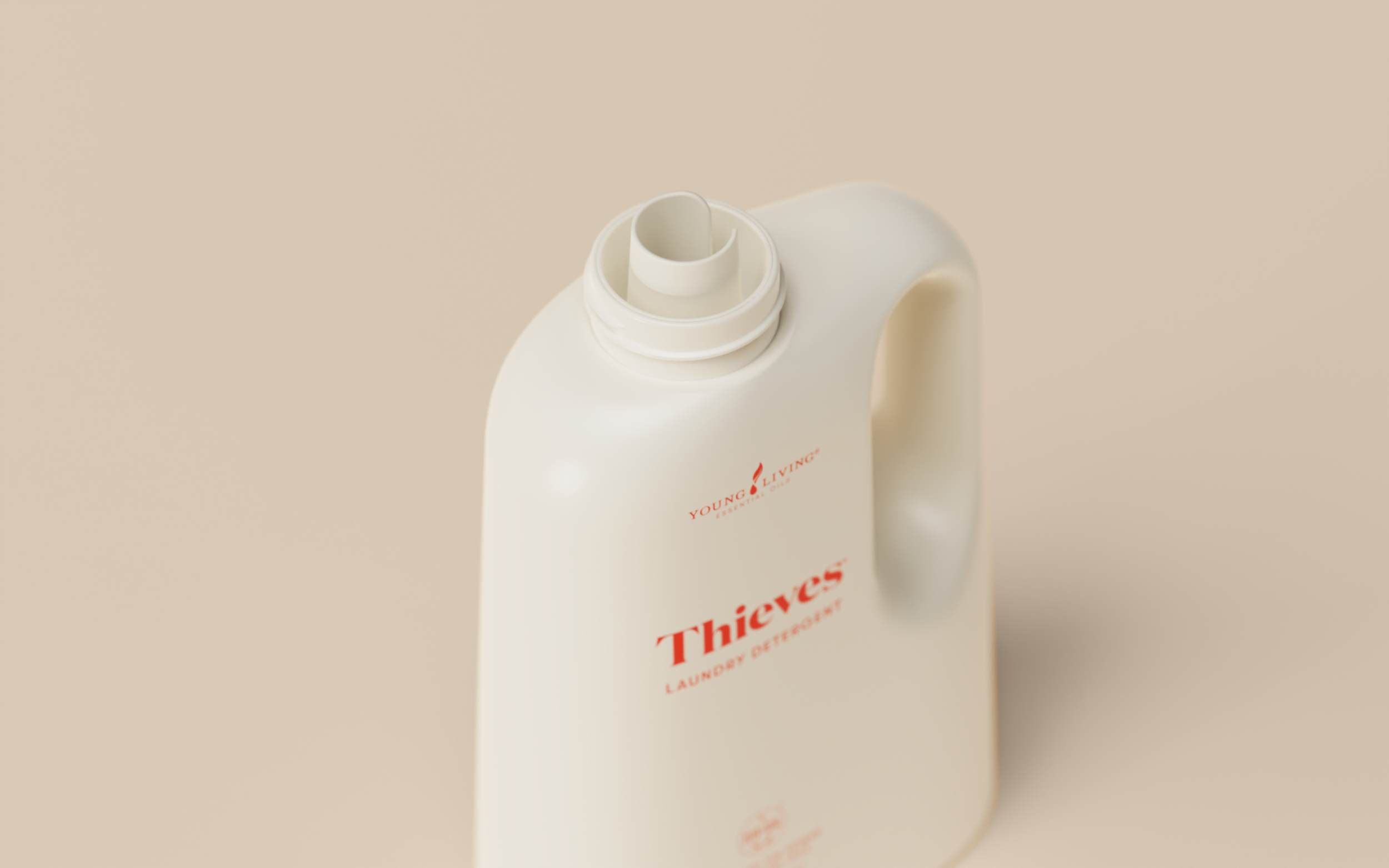 YL CASE STUDY.Laundry Spout Detail.693.png