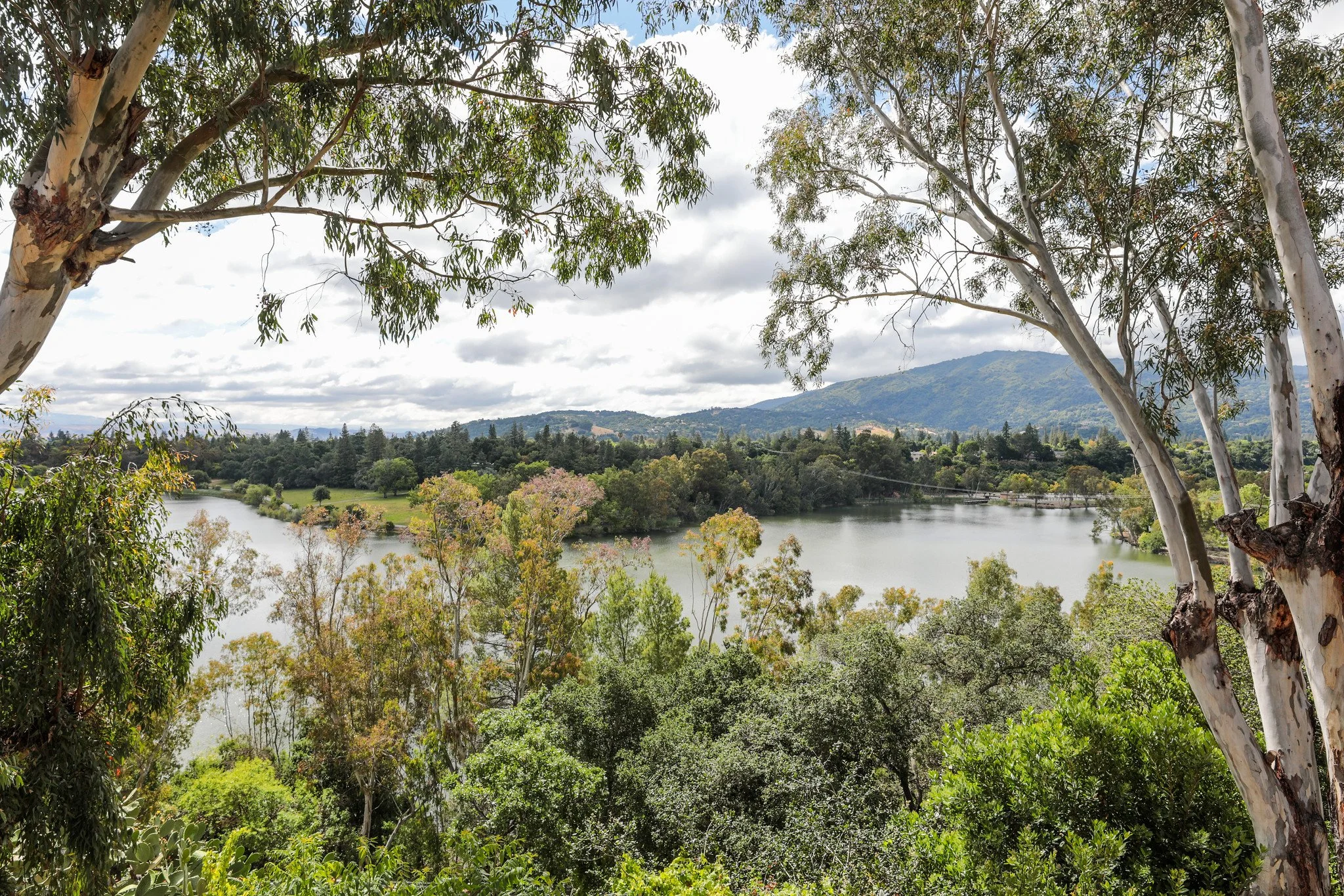 A scenic view of a lake surrounded by trees and mountains, with partly cloudy skies overhead.