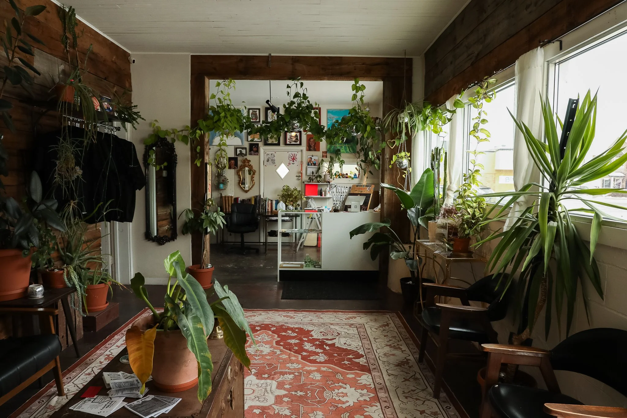 A cozy indoor space with many green houseplants on tables, shelves, and hanging in front of large windows. The room features a sitting area with chairs, a colorful rug, and a workspace with artwork and photographs on the wall.