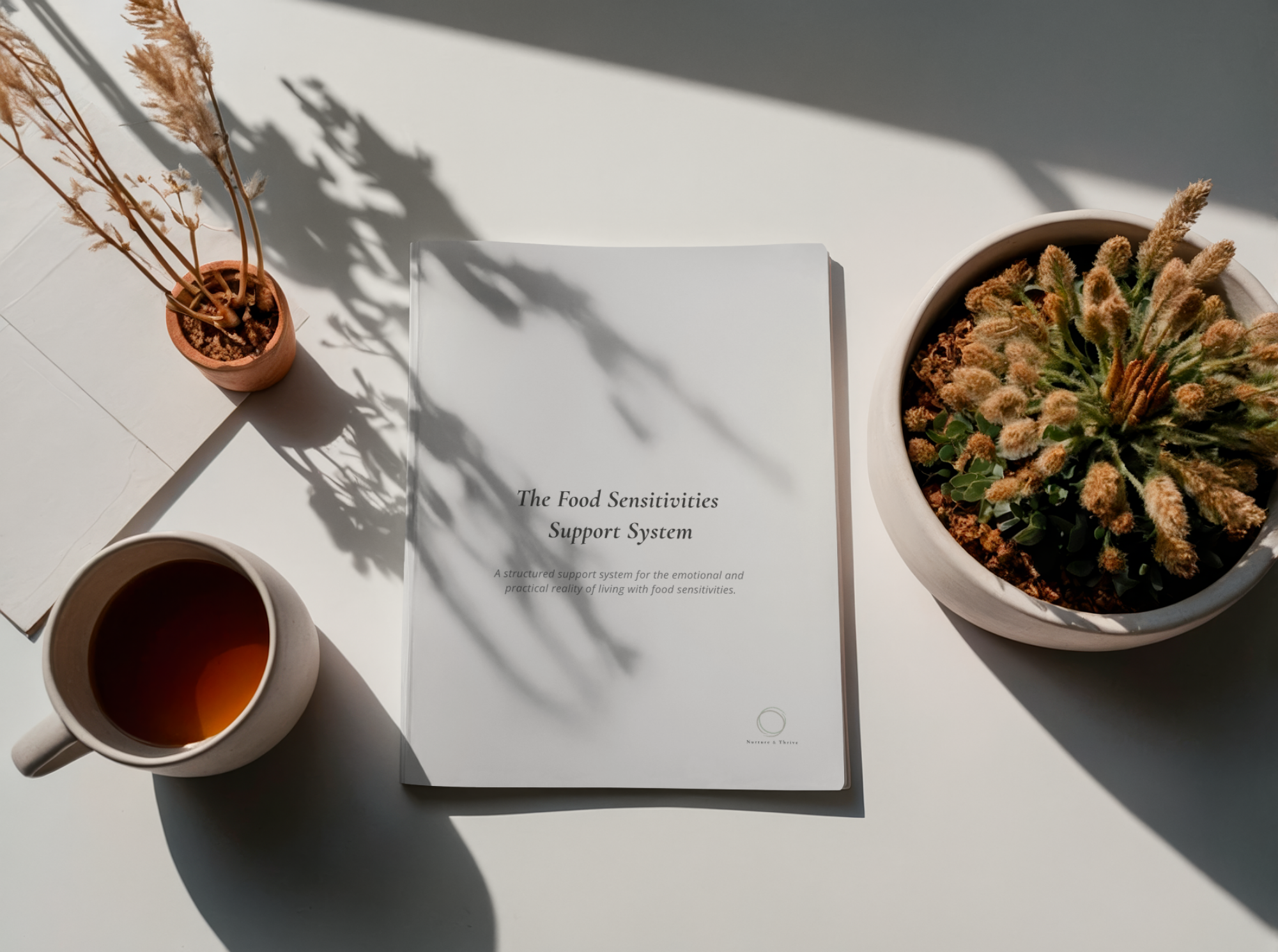 Food sensitivities journal on table with tea and plants