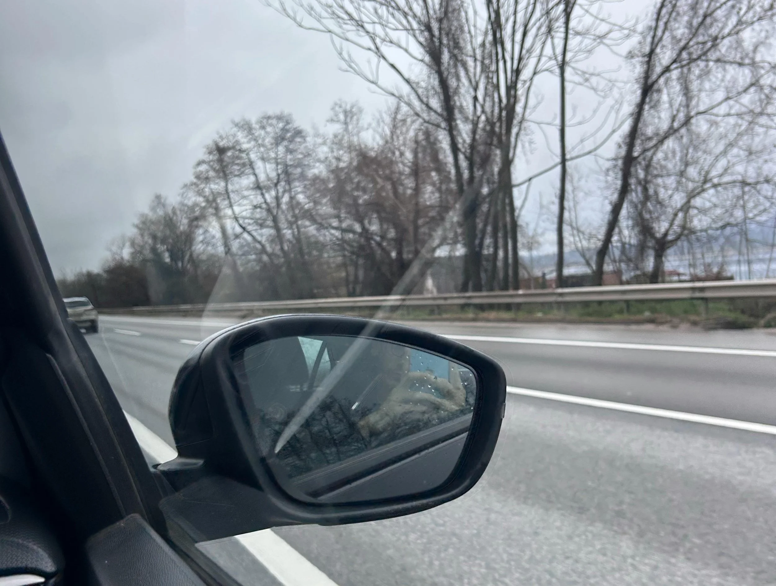 Car wing mirror reflecting the road behind representing looking back at your relationship with food when living with food sensitivities