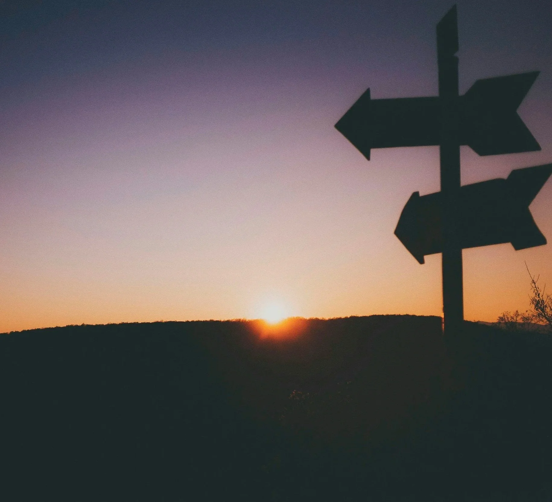 Signpost at sunset representing navigating life with food sensitivities