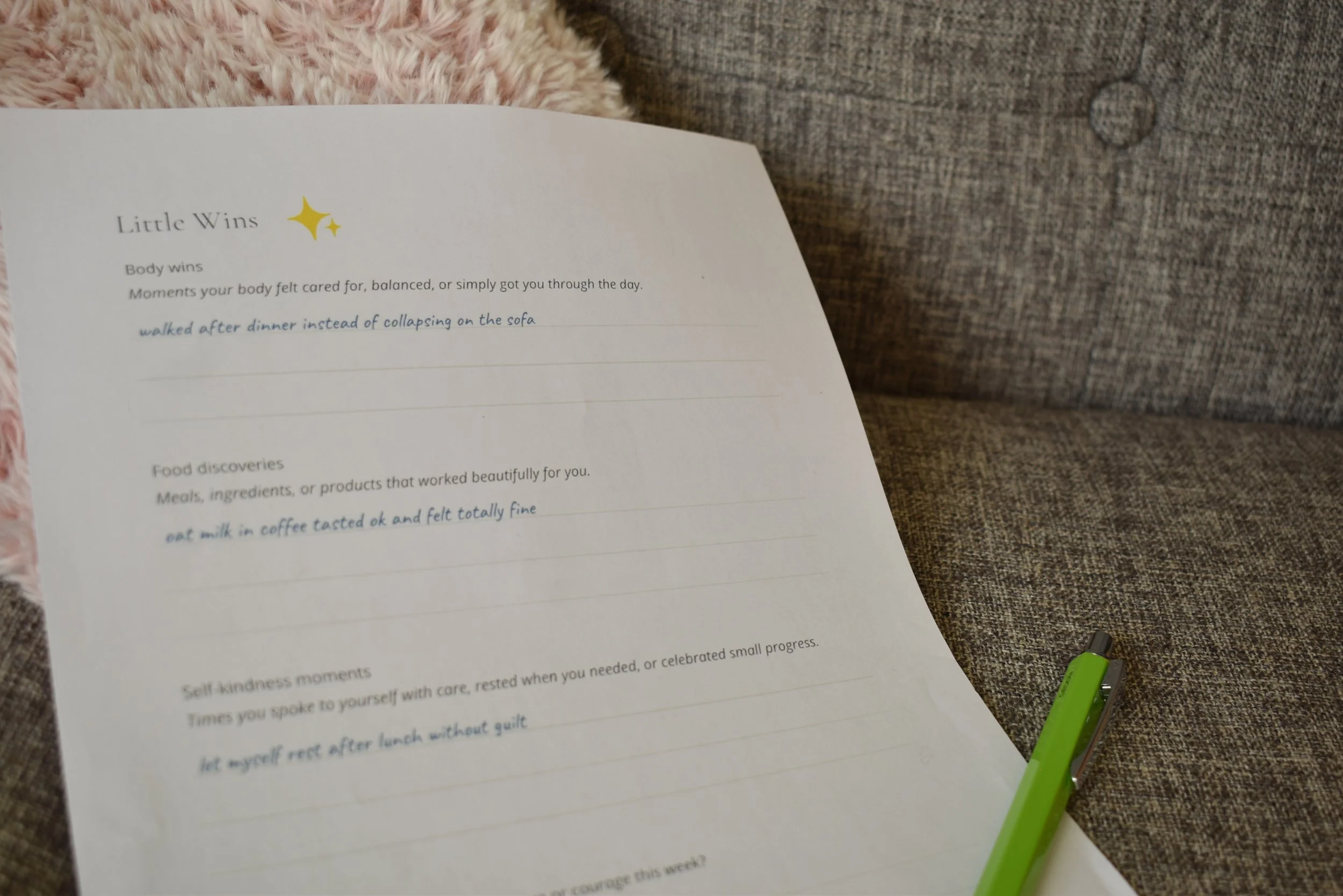 Food sensitivities journal open on ‘Little Wins’ reflection page