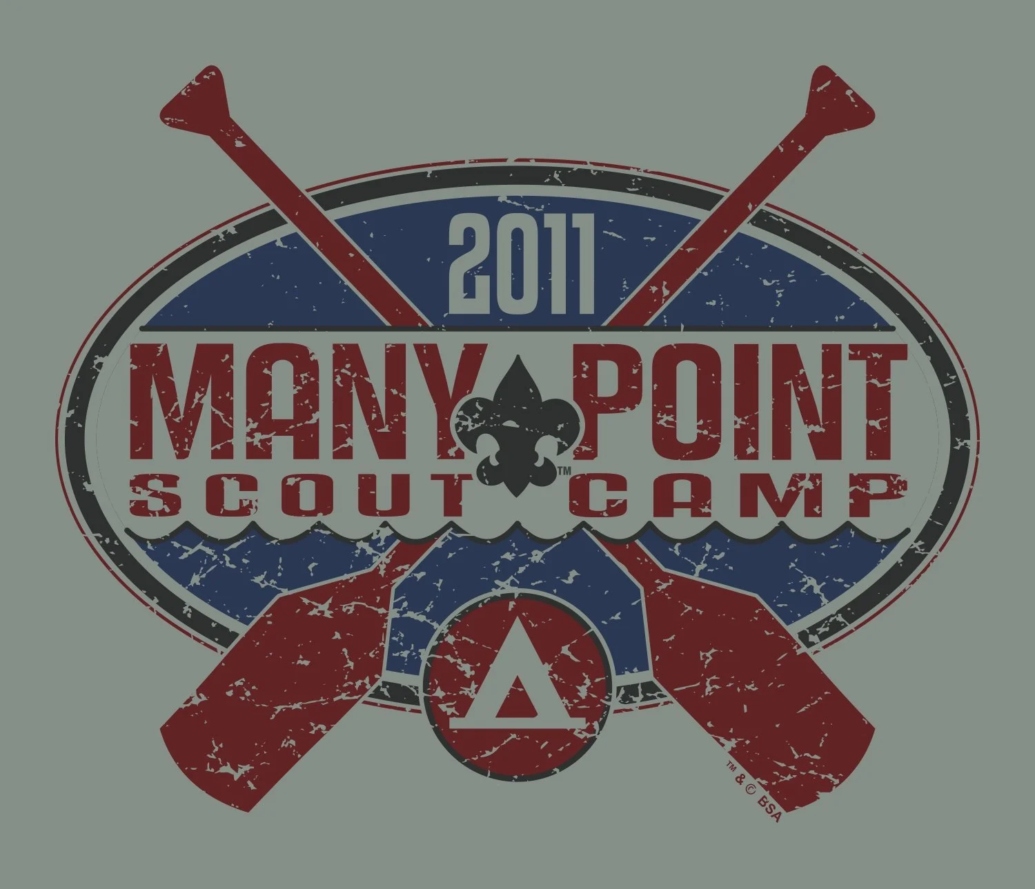 ManyPoint2011.jpg