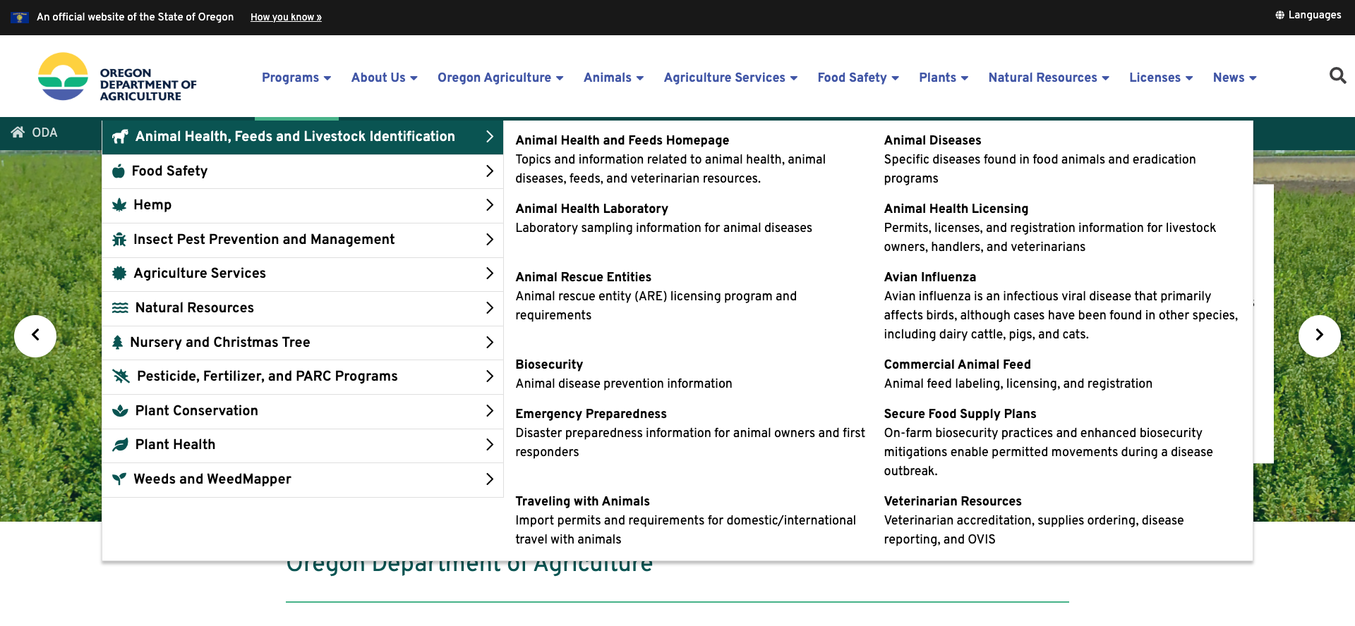 Screenshot of the Meganavigation used on the site