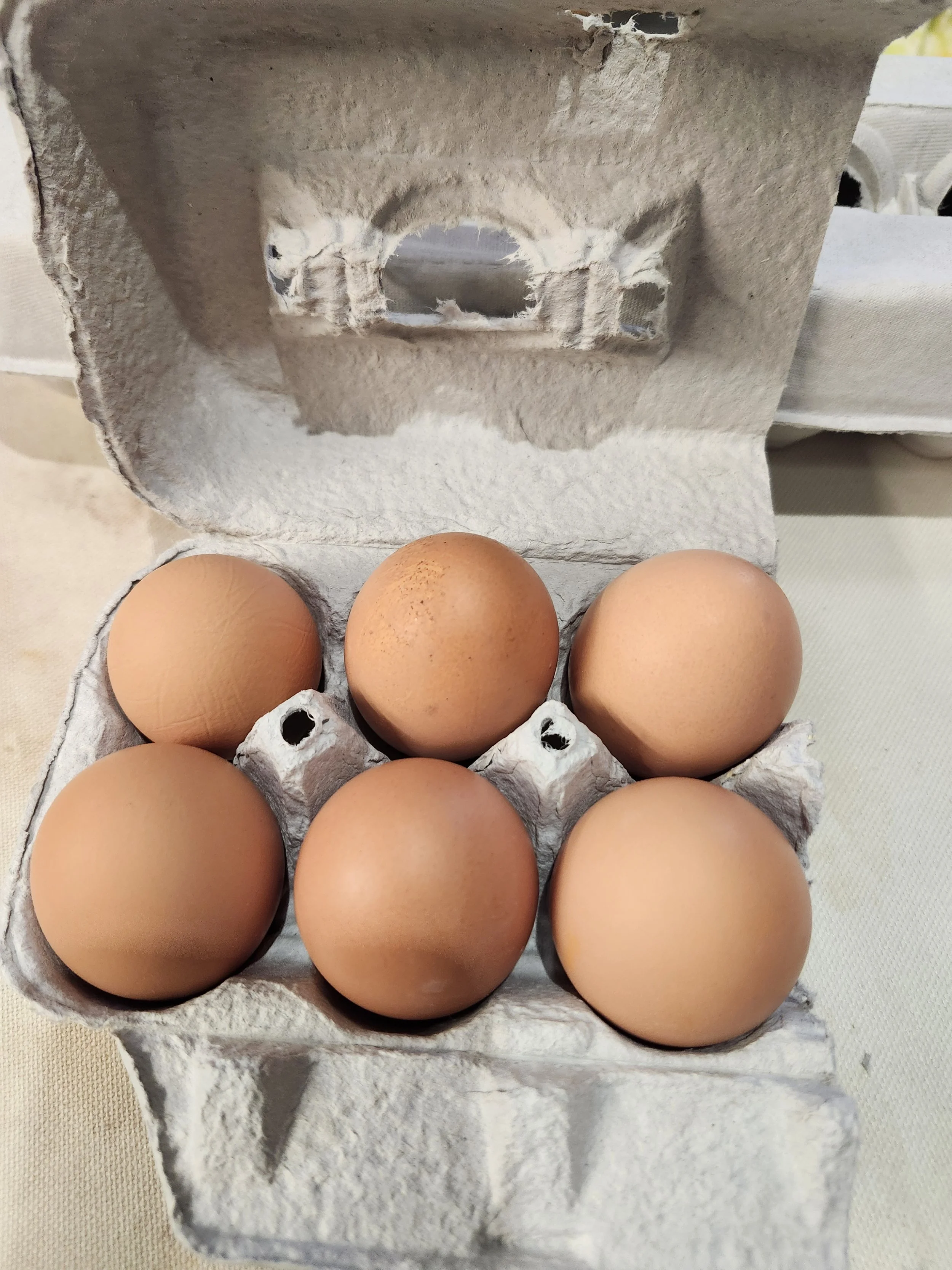 Chicken Eggs- Half Dozen (6 eggs)