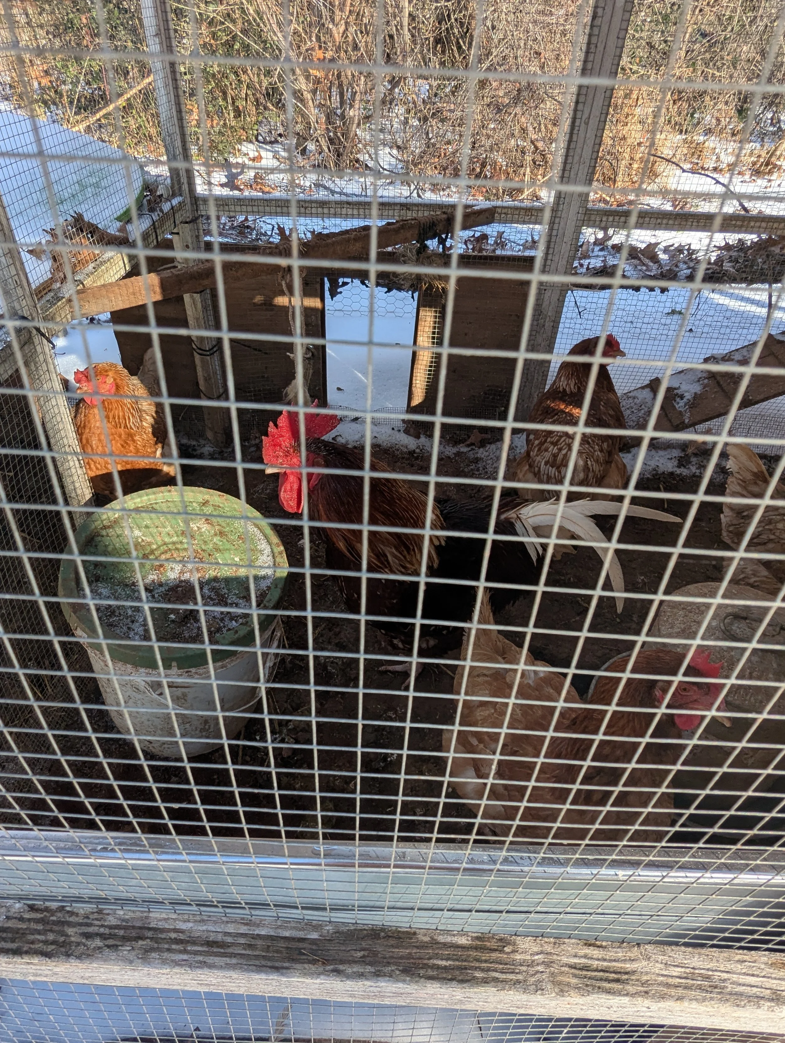 investigating me....jpg