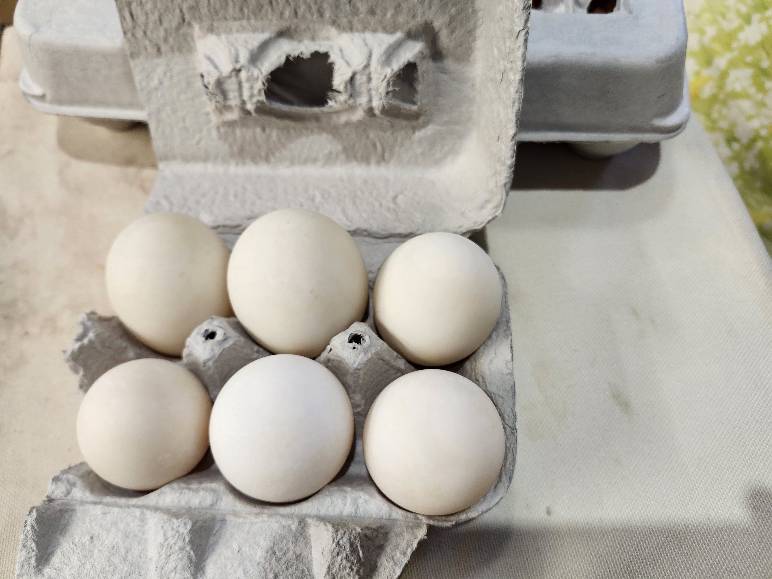 Duck eggs- Half Dozen (6 eggs)