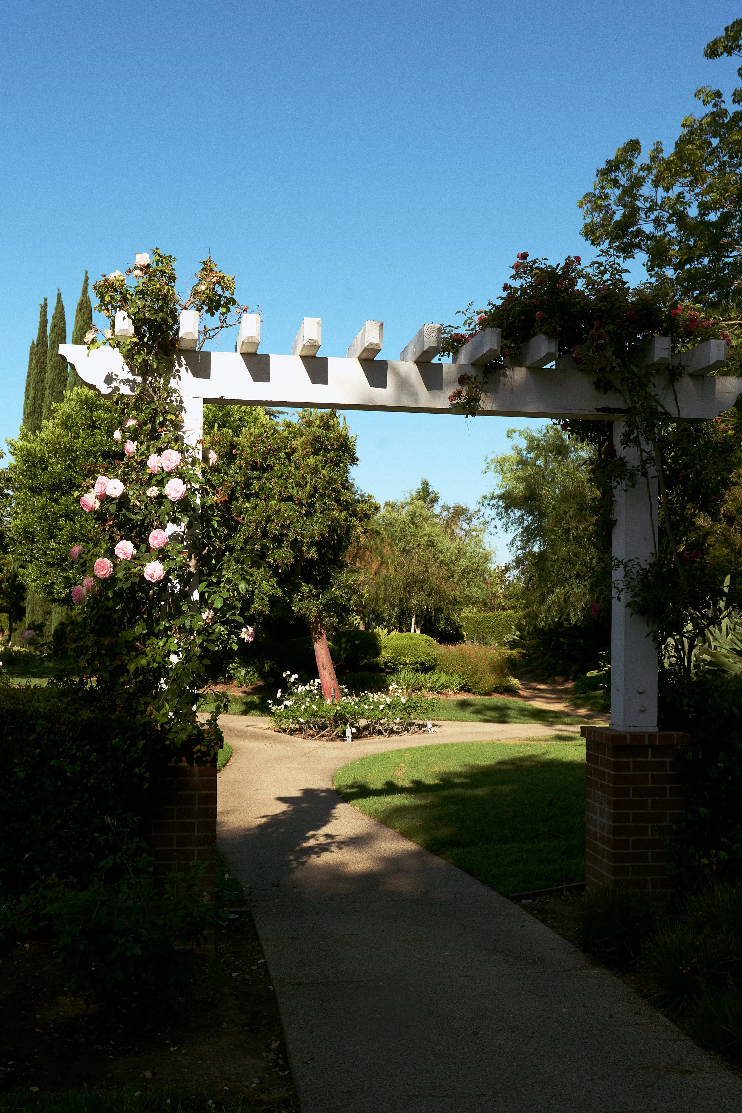 L1010278 copy.jpg