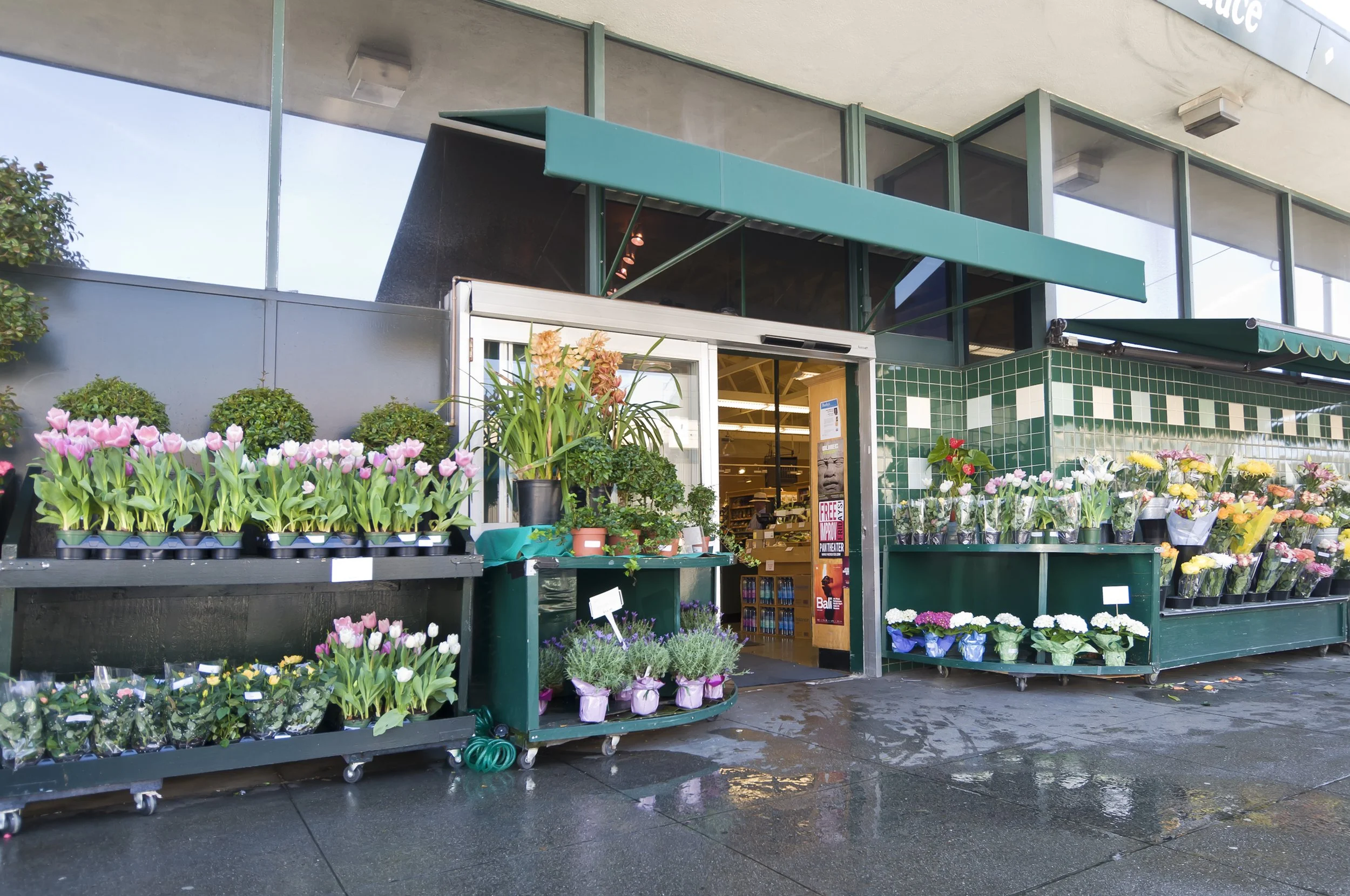 Outside of a grocery store with flower display tables filled with pink, yellow, and white flowers, including tulips and other potted plants, on a wet pavement.
