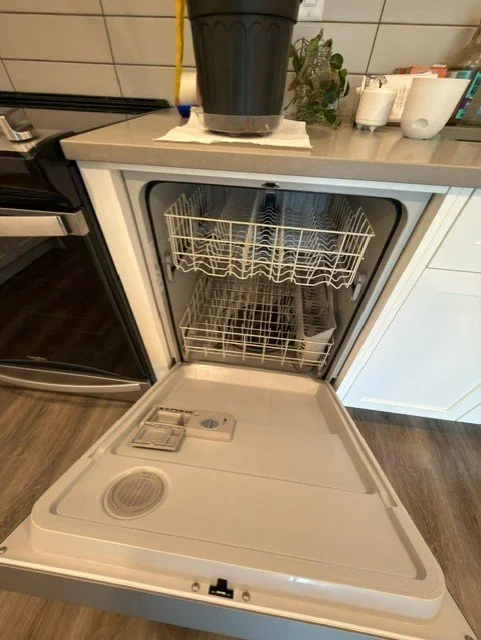 Dishwasher professionally sanitized by AAE Home Glow's cleaning team