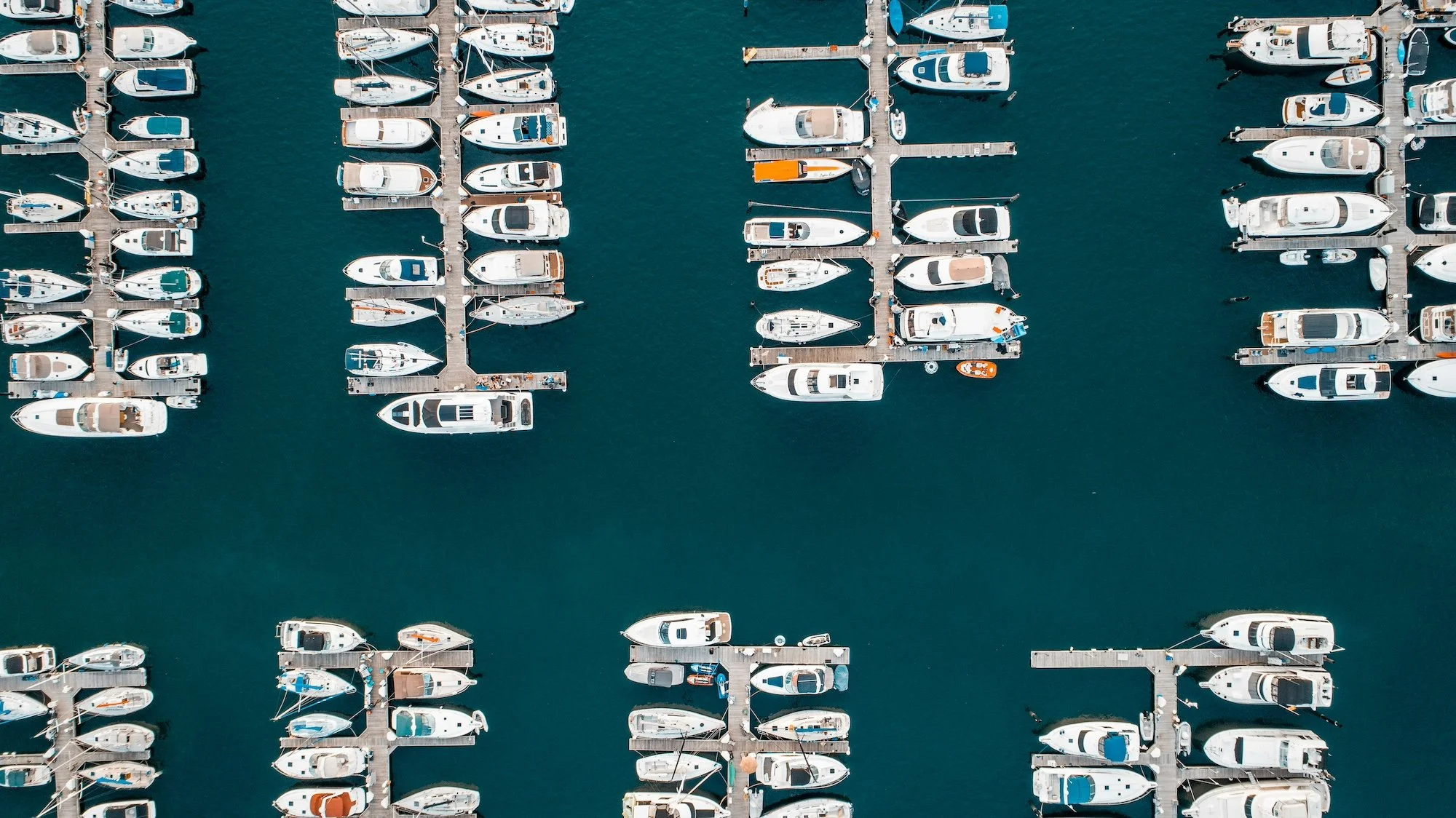 Boats in the Belmont Harbor marina