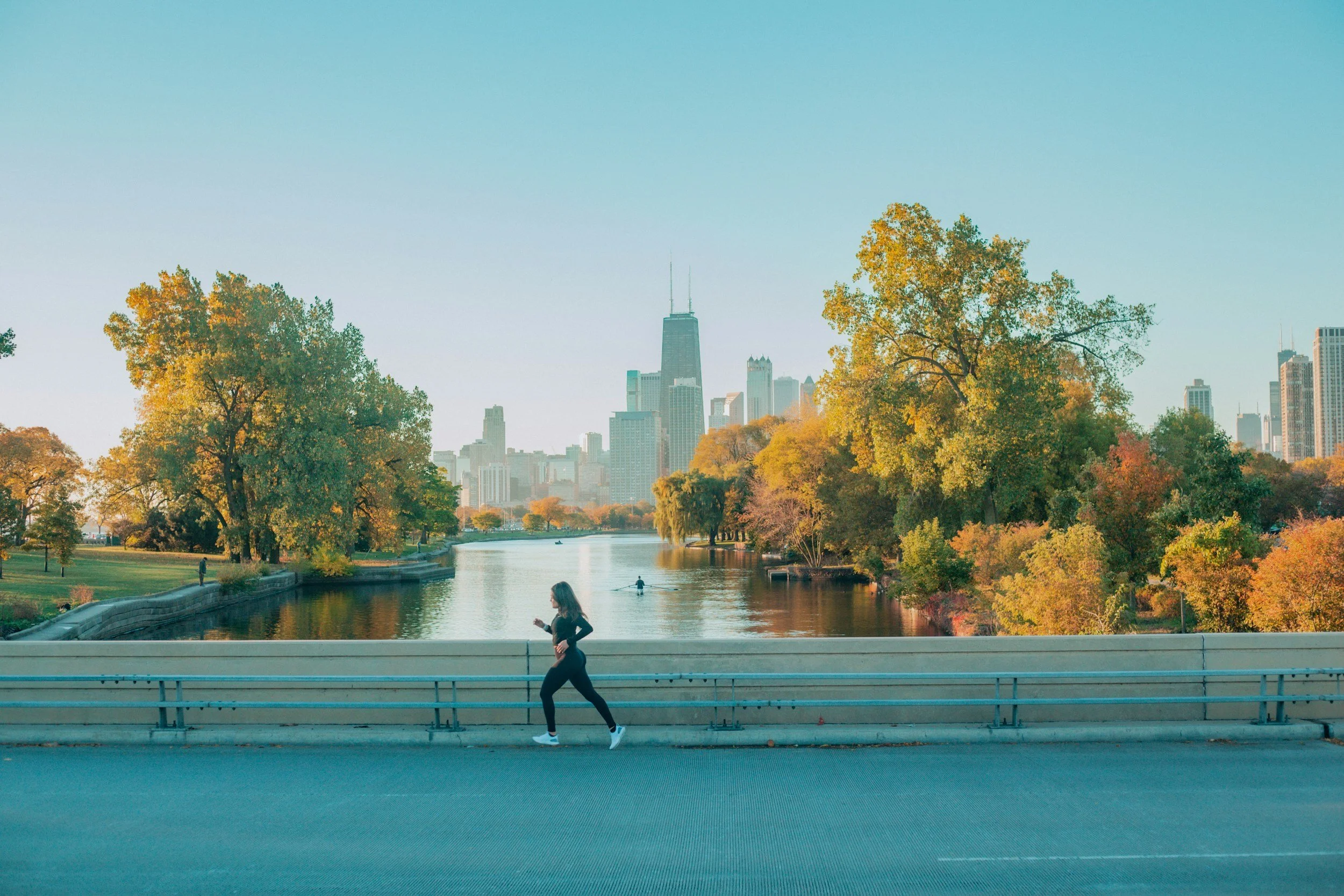 A view of the Chicago skyline from Lincoln Park near 3500 N. Lake Shore Drive