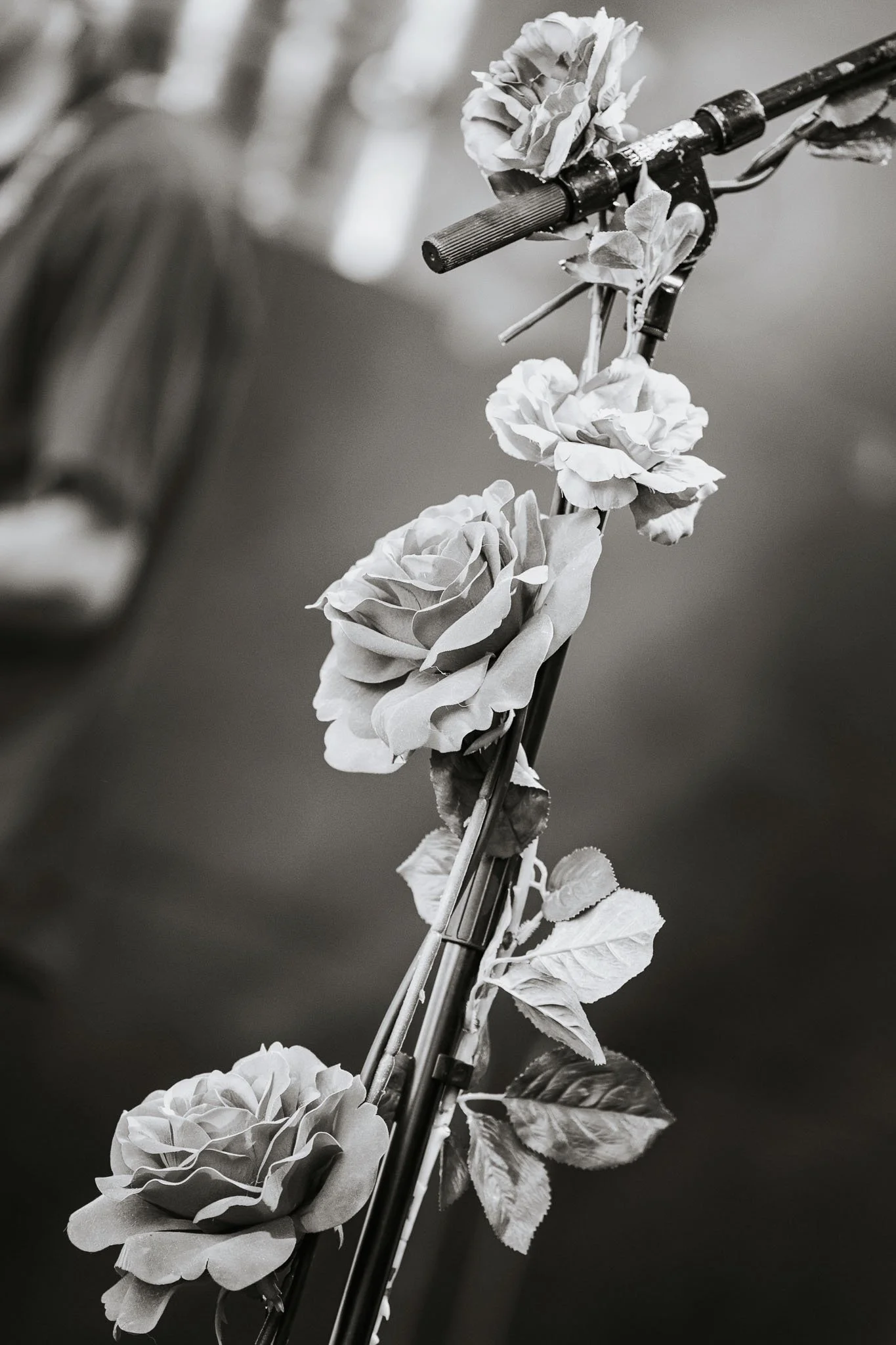 Lakesplash 2025 Ludovic Vergères-7.jpg