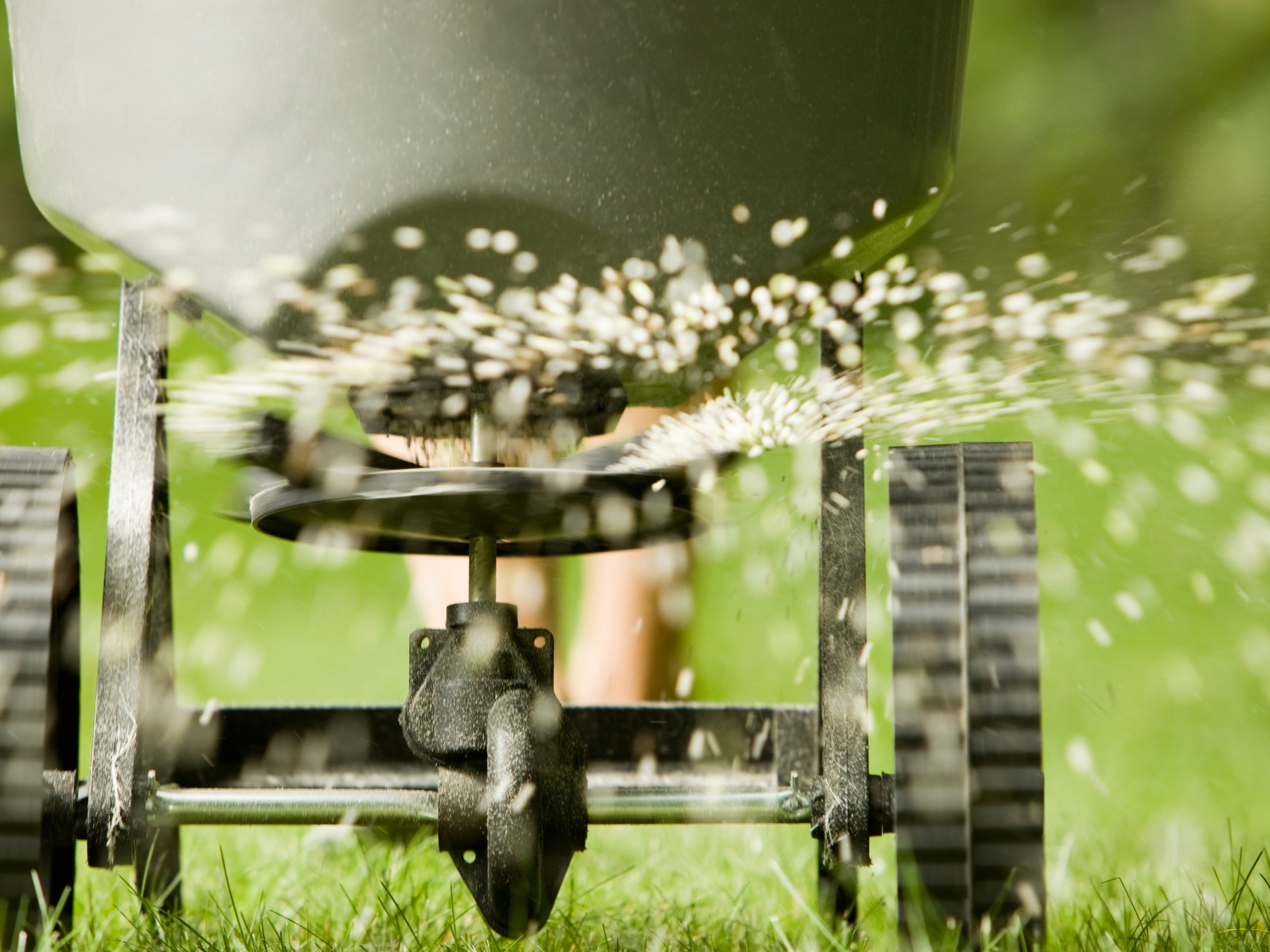 Service complémentaire de sursemis de semence à gazon offert par Guillaume Gazon sur la Rive-Sud de Montréal