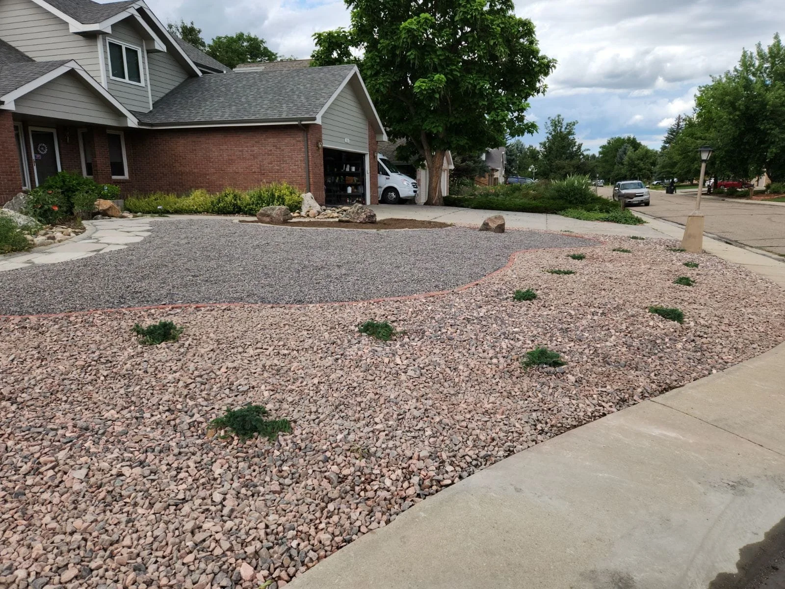 A residential front yard featuring a gravel landscape with small green plants, a large tree and house. 