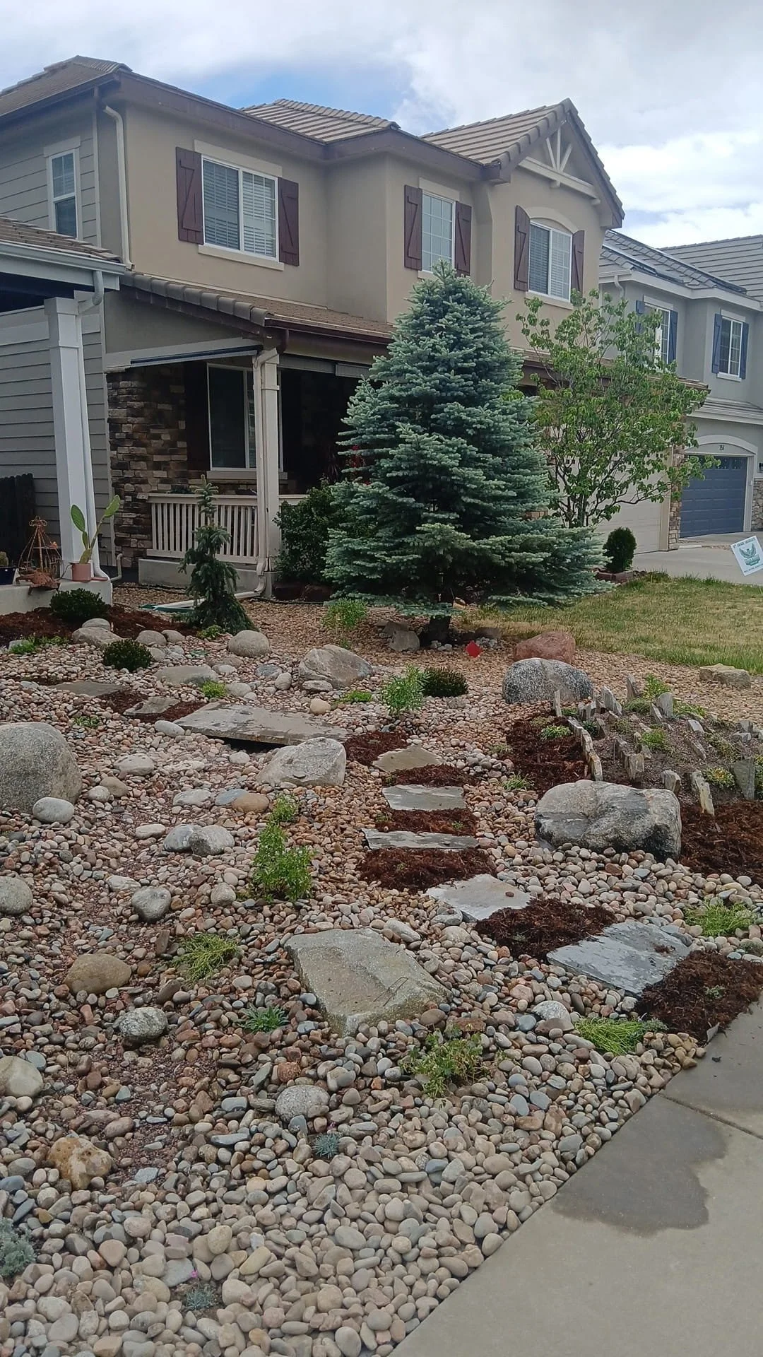 front yard xeriscape 1 (1).jpg