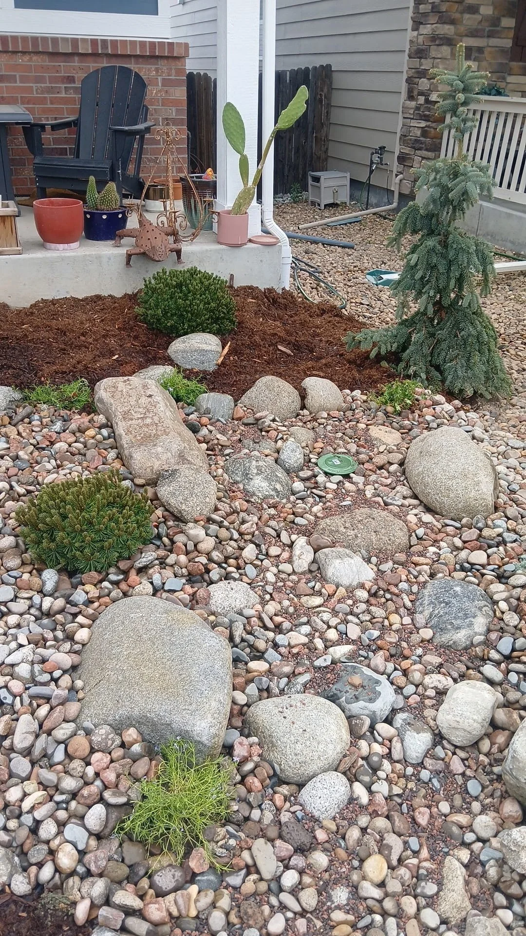 front yard xeriscape 2 (1).jpg