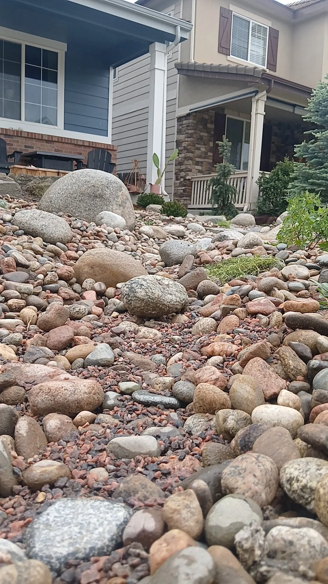 front yard xeriscape 5 (1).jpg