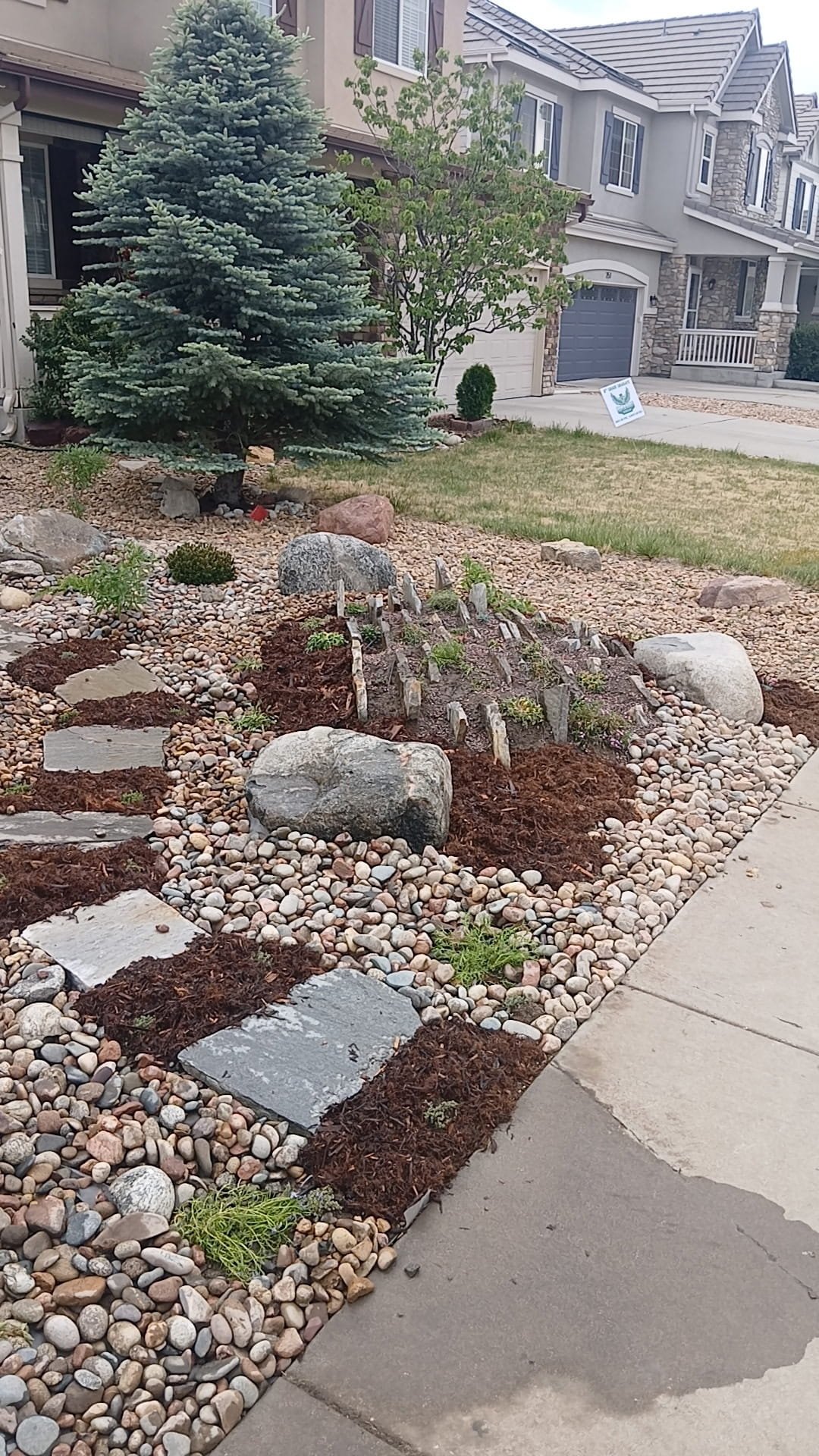 front yard xeriscape 7 (1).jpg