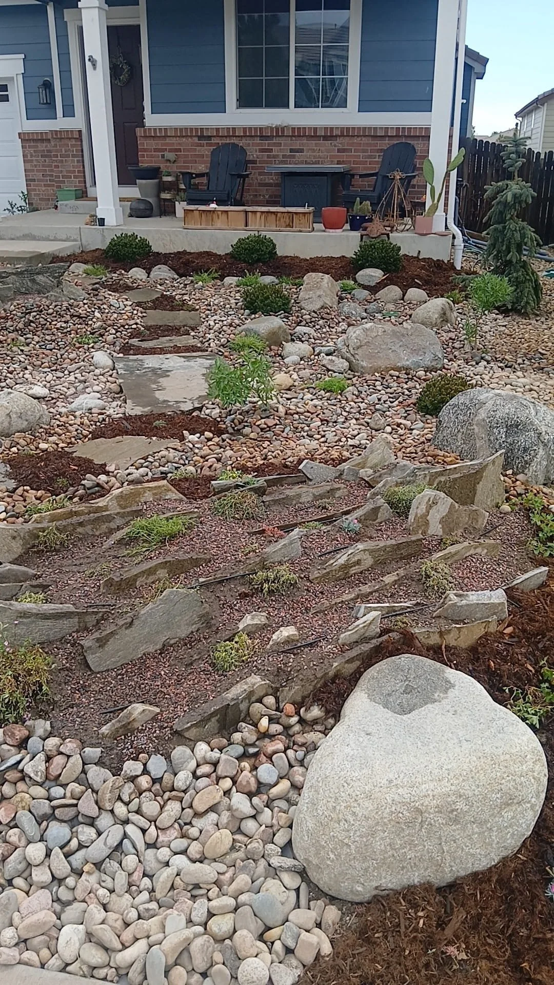 front yard xeriscape 8 (1).jpg
