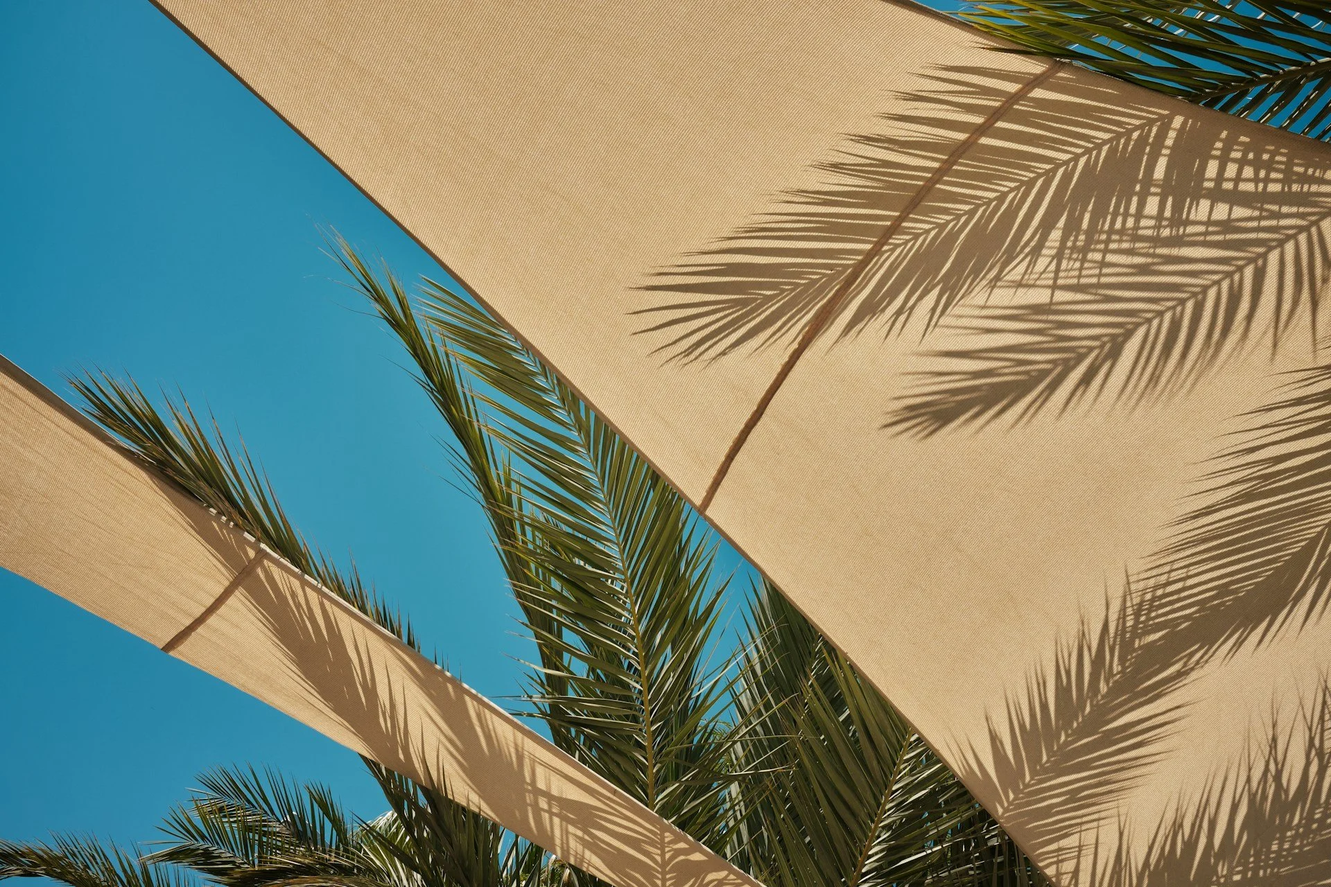 Summer Shade Ideas for Decks in Longmont That Actually Work