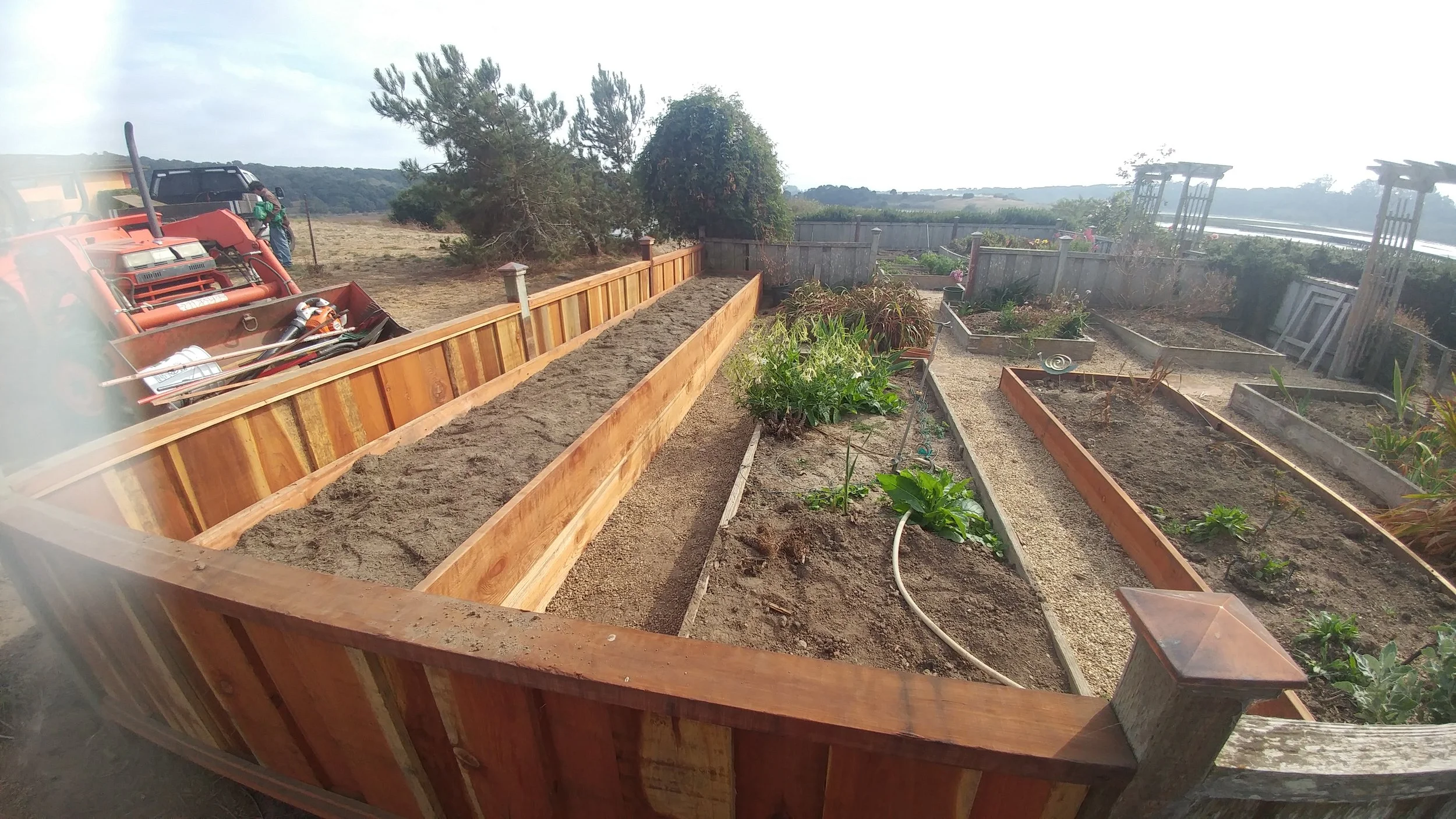 Wooden garden bed filled with soil, surrounding gardening tools, and adjacent planted garden areas with various plants and flowers.