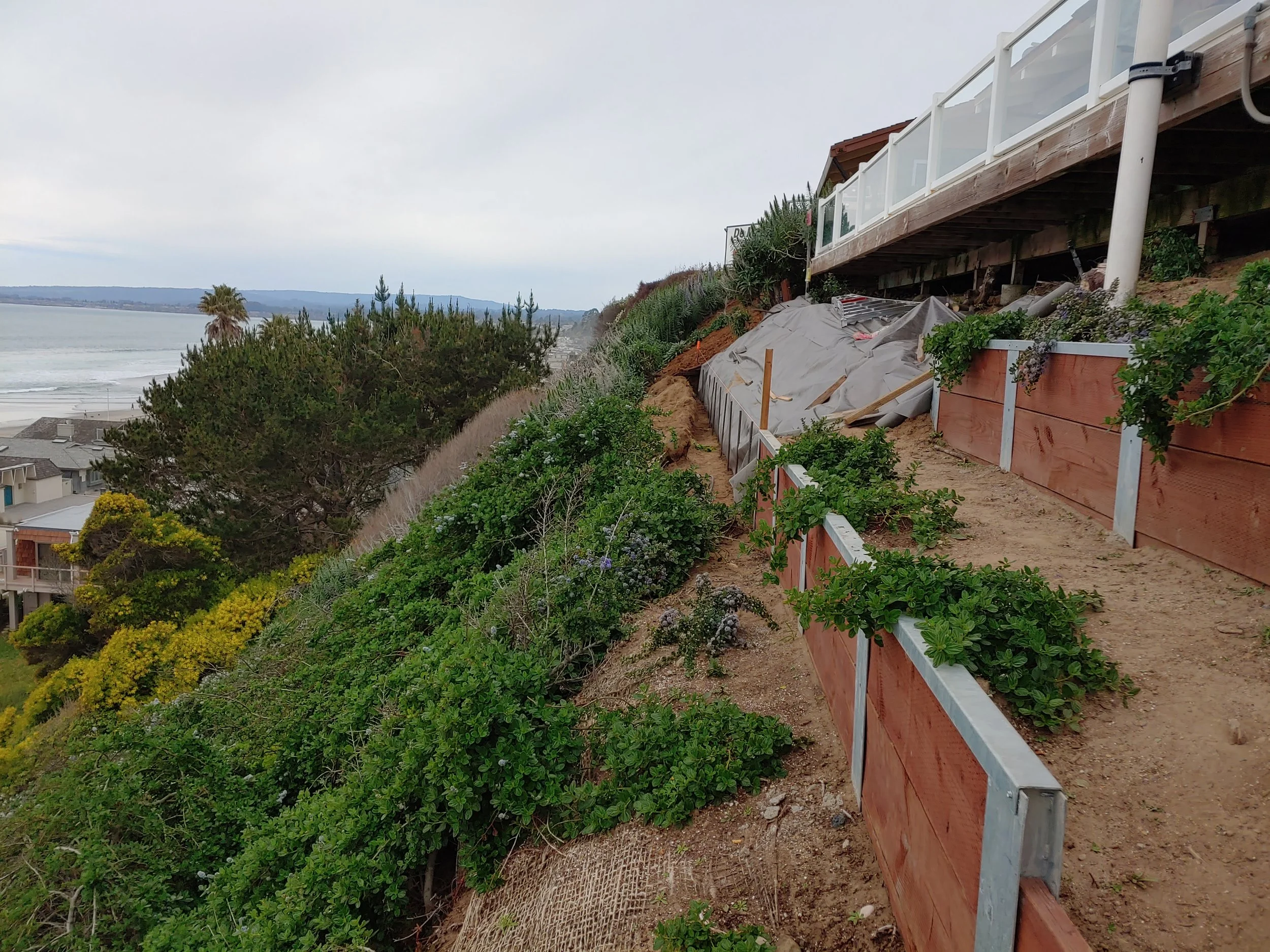 A sloped hillside with a fence and plantings, overlooking a body of water with houses nearby and cloudy sky.