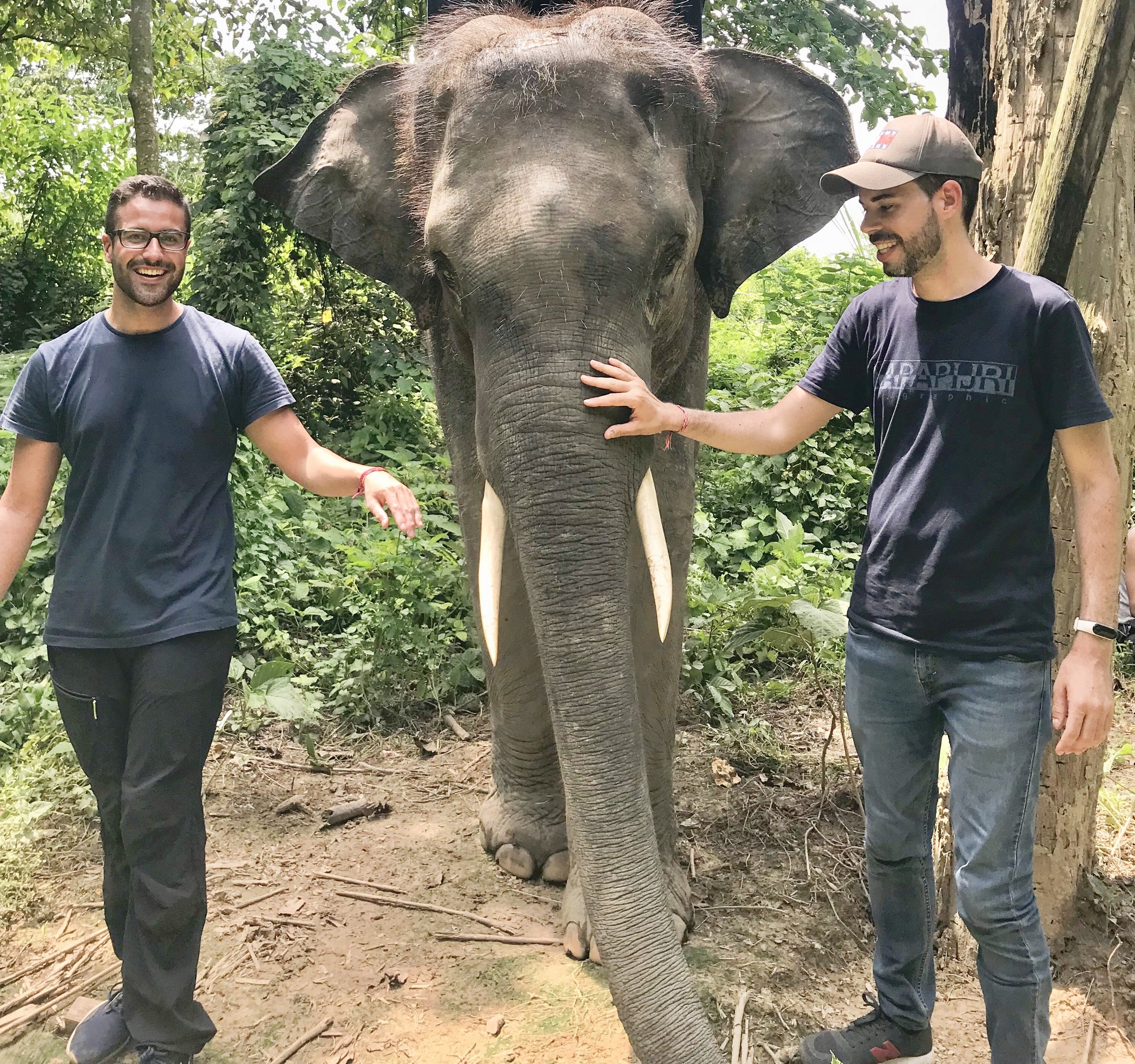 Experiencia en el Parque Nacional de Chitwan: safari a pie en Nepal entre rinocerontes y osos negros