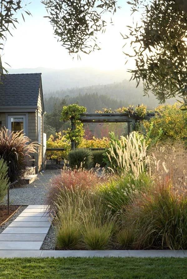 A landscaped garden with a pathway leading to a wooden pergola, surrounded by various grasses and plants, with a house to the left and mountains in the background during sunset. london garden design.