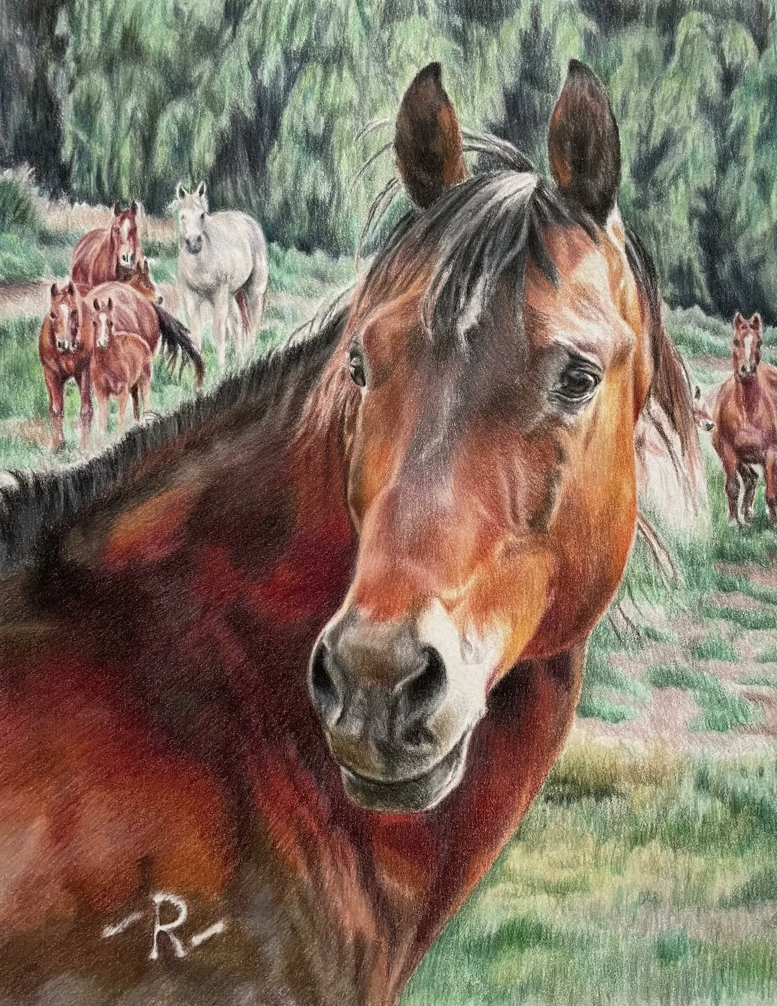A close-up drawing of a brown horse with a black mane in a grassy field, with several other horses in the background against a backdrop of green trees.