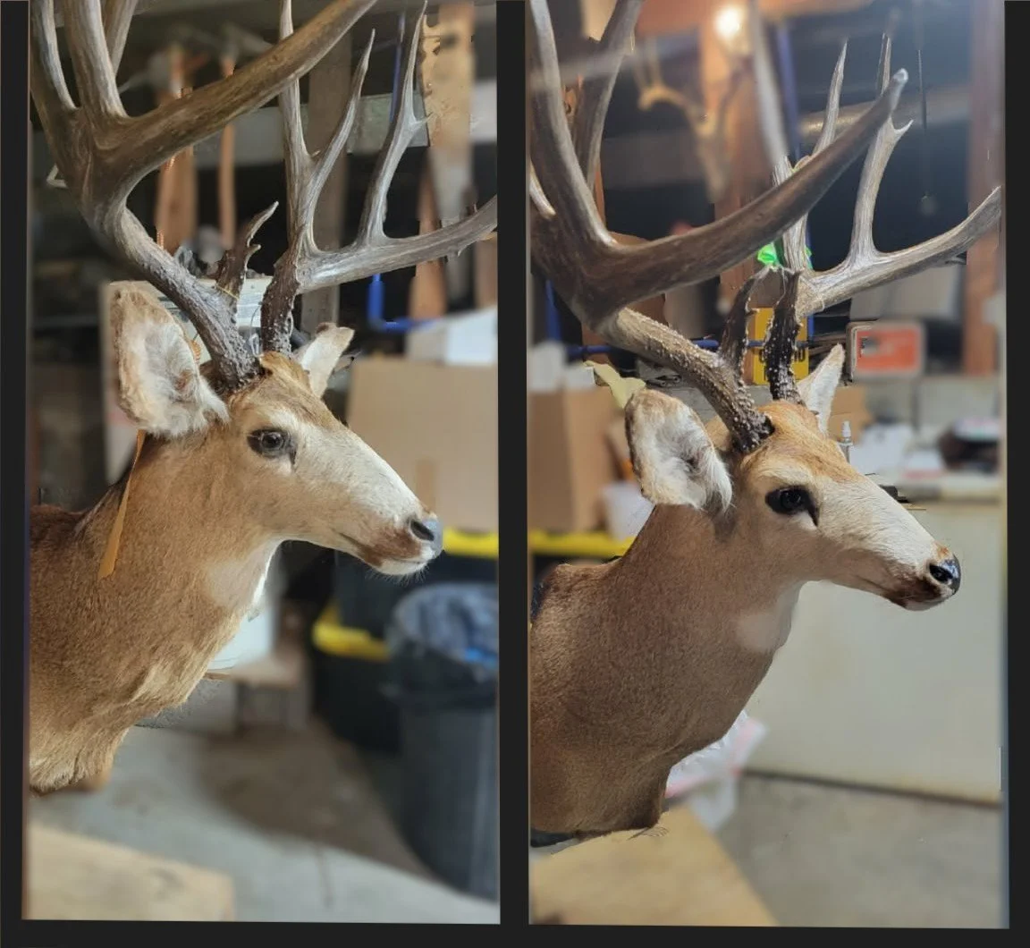 Before (Left) & After (Right)