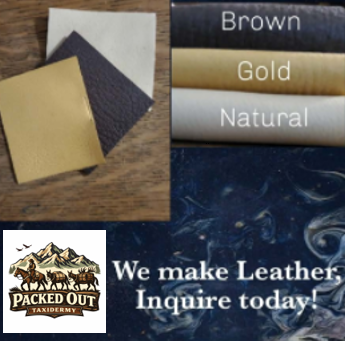 Screenshot 2026-01-20 143836_edited.png