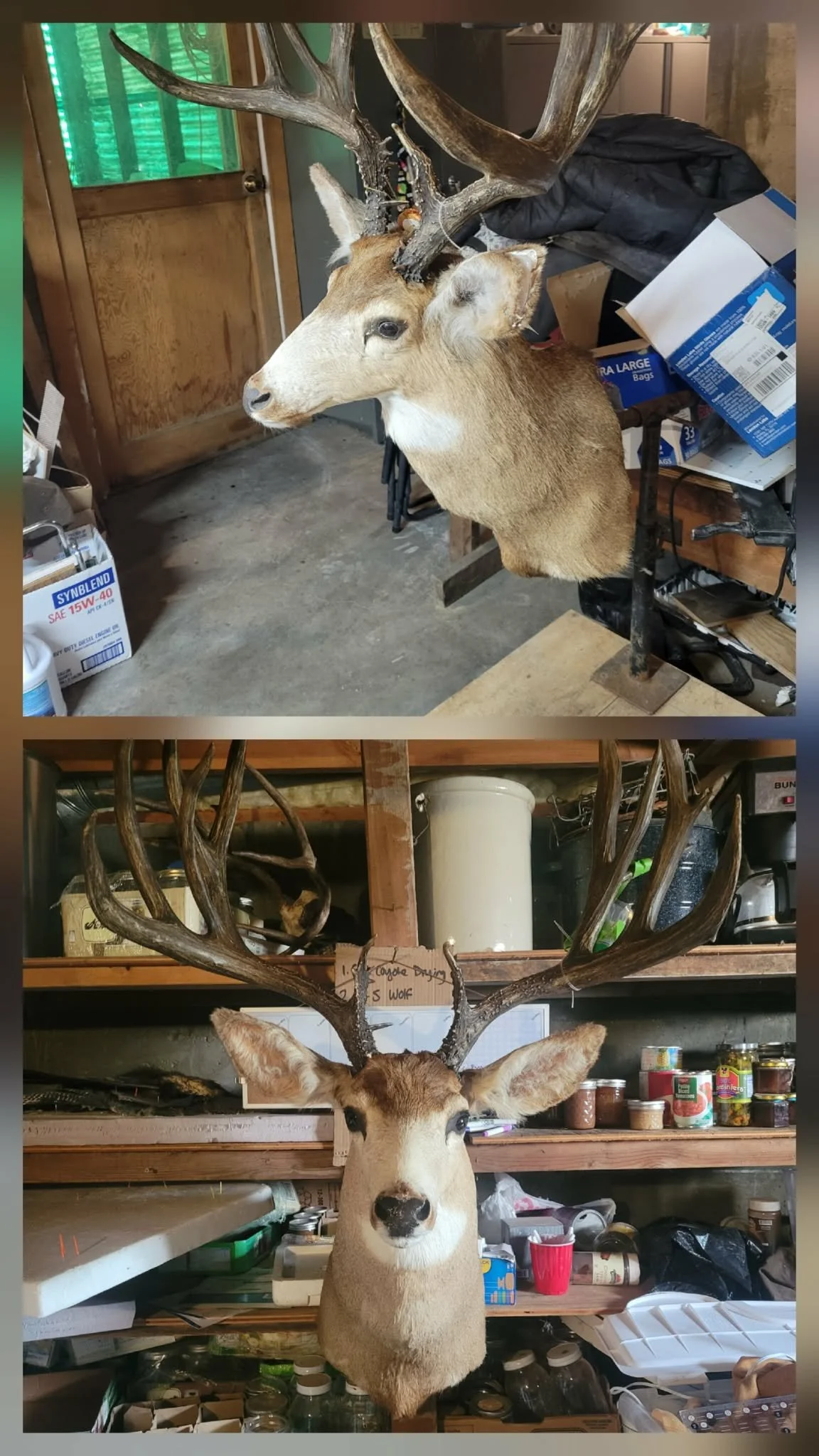 Before (Above) & After (Below)