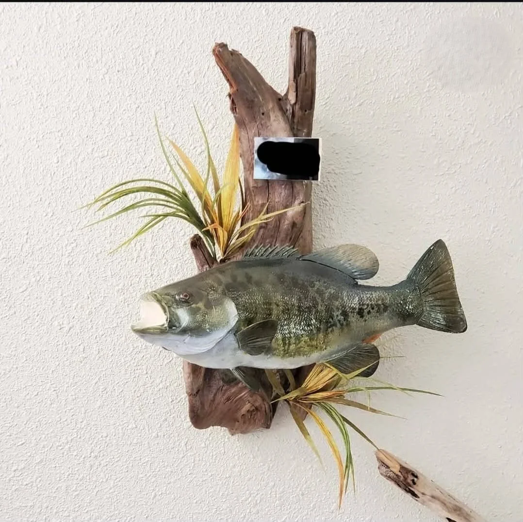 Mounted largemouth bass fish on a wooden plank with decorative plants on a textured wall.